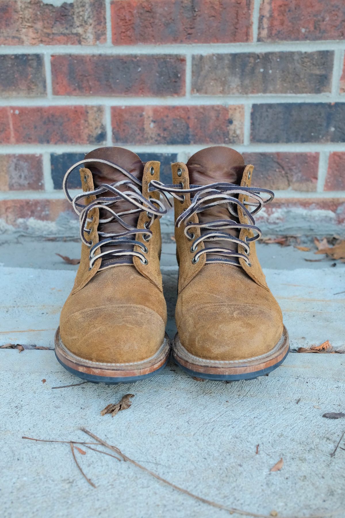Photo by danadd94 on December 5, 2024 of the Viberg Service Boot in Horween Wheat Predator Roughout.