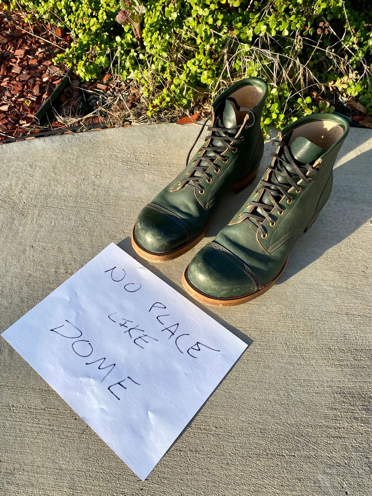 Photo by kenmar1010 on November 5, 2022 of the Iron Boots 5515 in Maryam Jungle Green Horsebutt.