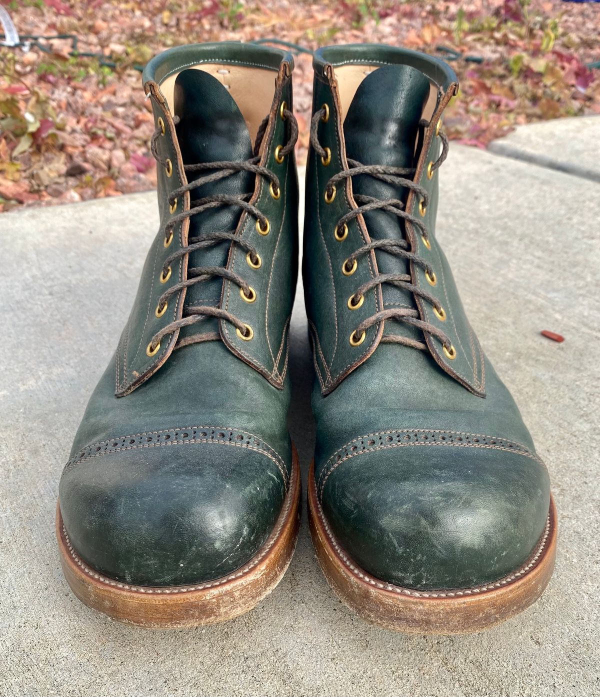 Photo by kenmar1010 on February 5, 2023 of the Iron Boots 5515 in Maryam Jungle Green Horsebutt.
