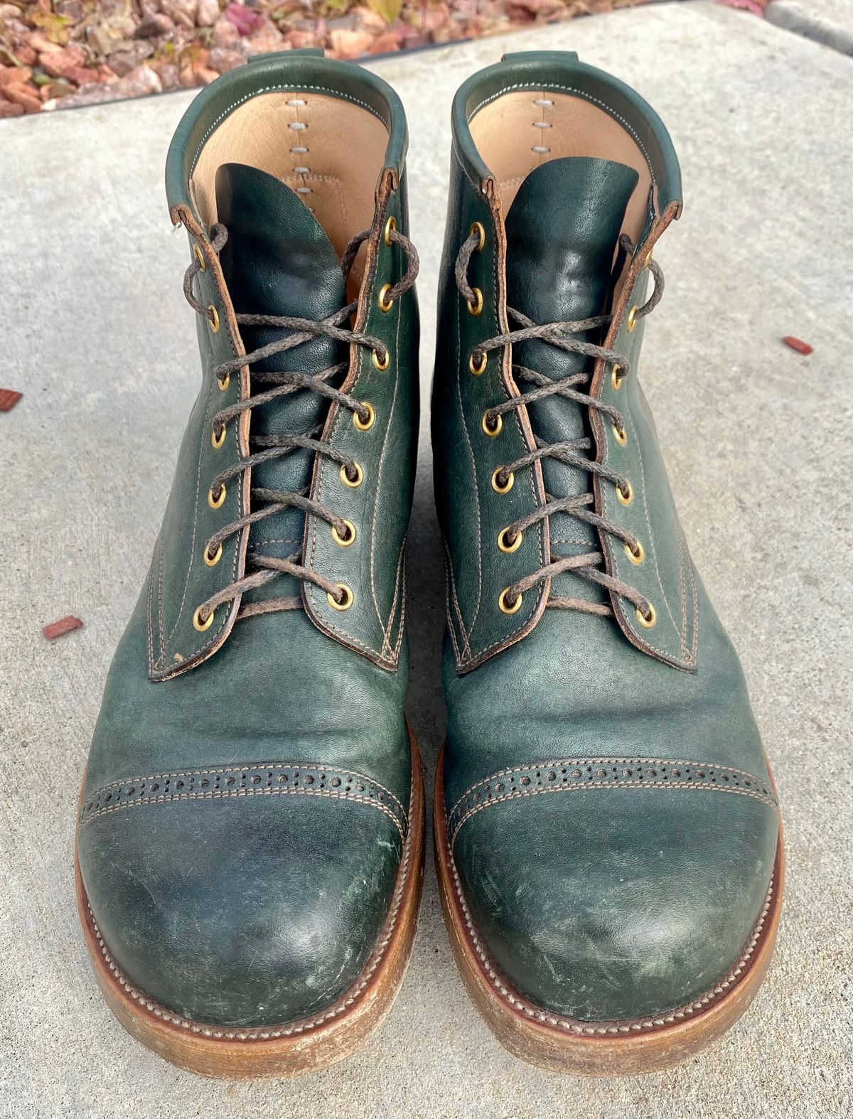 Photo by kenmar1010 on February 5, 2023 of the Iron Boots 5515 in Maryam Jungle Green Horsebutt.