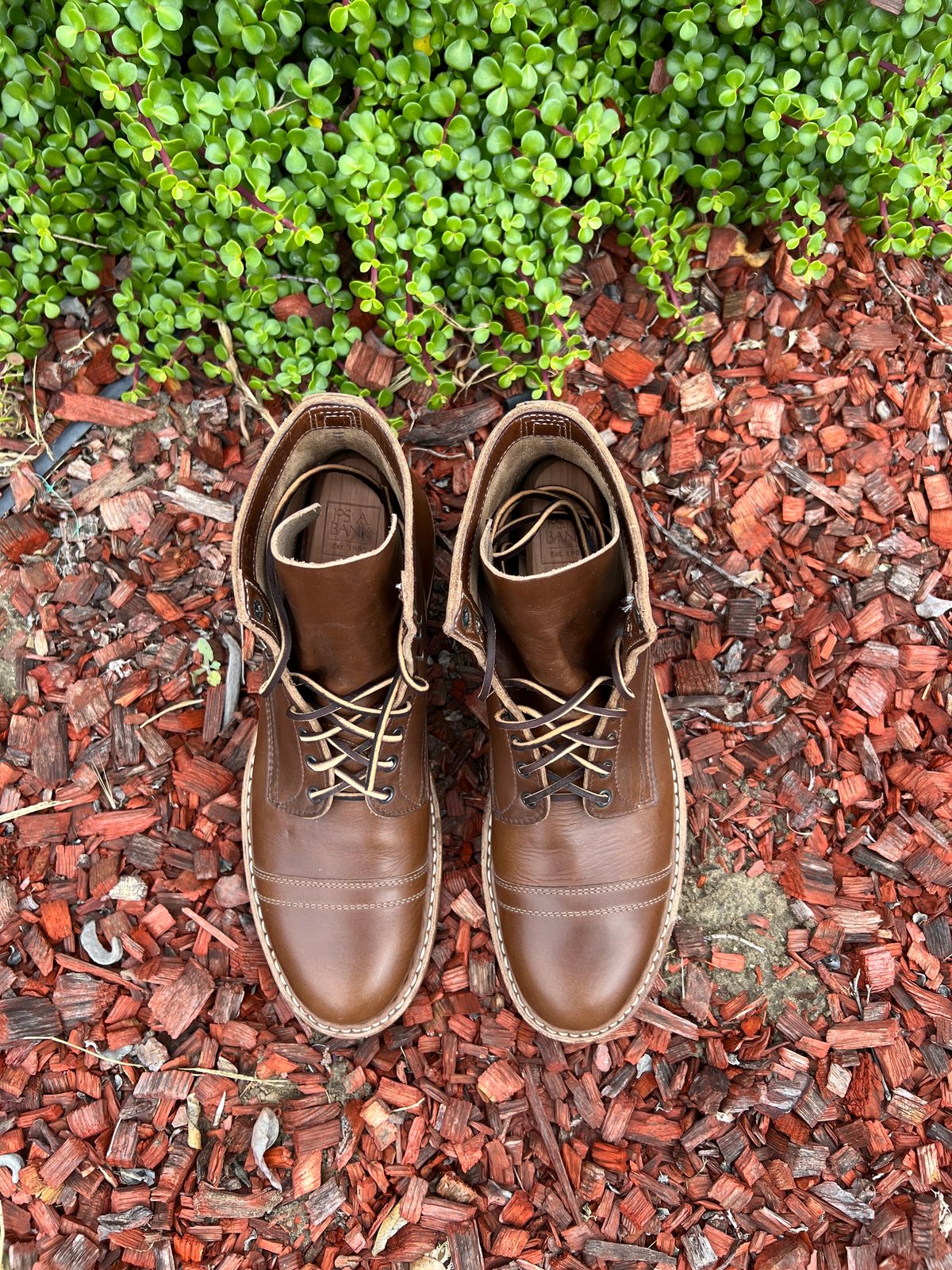 Photo by kenmar1010 on October 1, 2023 of the White's MP-Sherman Toe Cap in Horween British Tan Chromexcel.