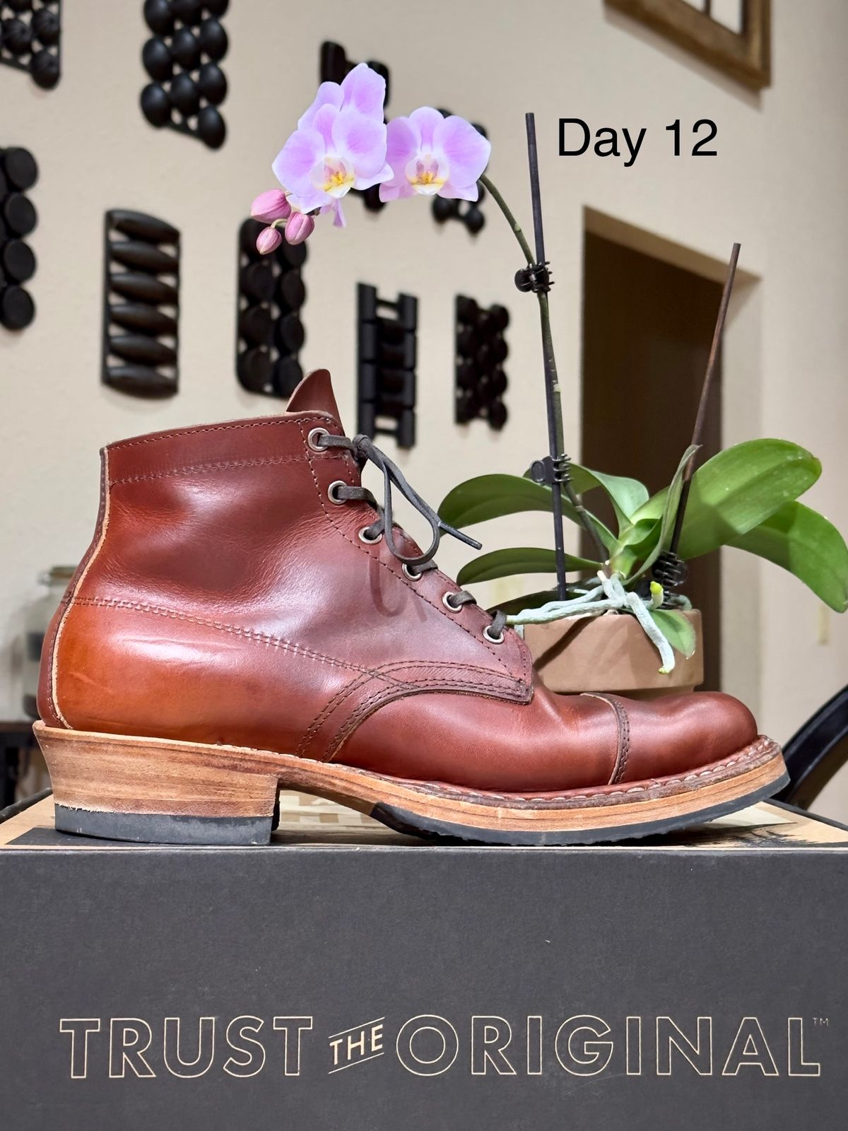 Photo by UglyJoe on October 16, 2023 of the White's Semi-Dress in Wickett & Craig Tan Oiled Latigo.