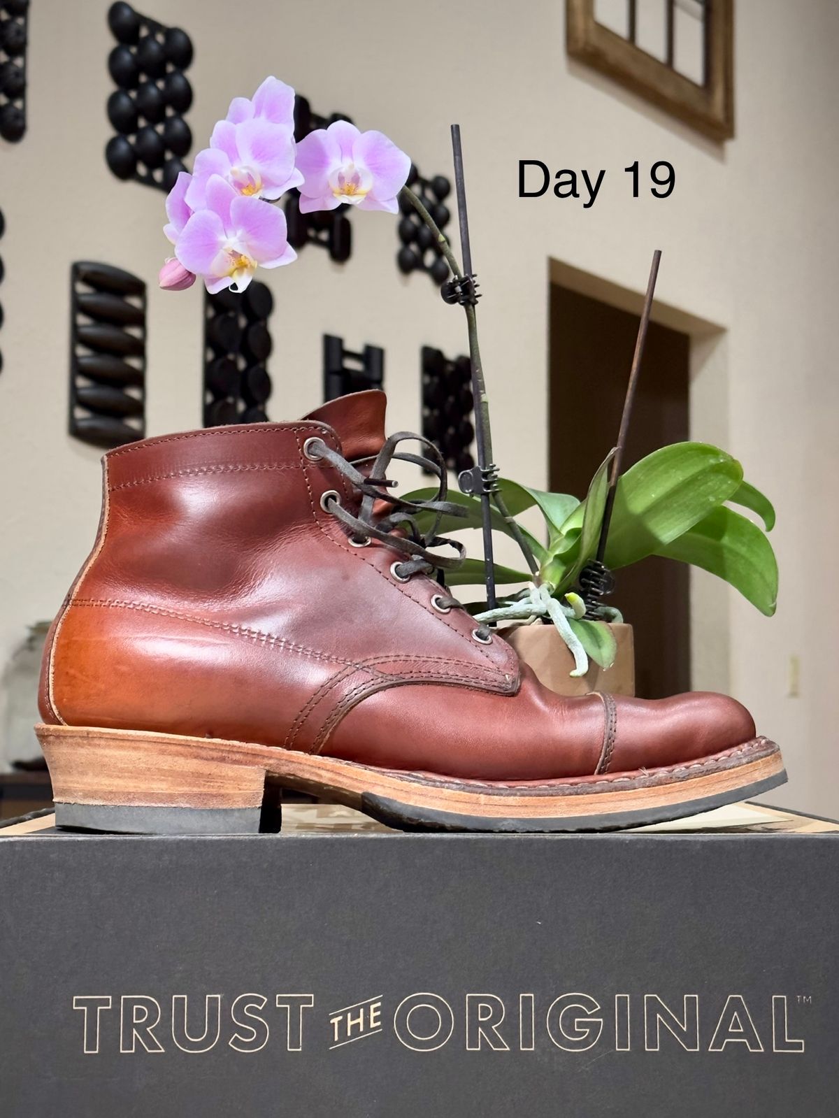Photo by UglyJoe on October 25, 2023 of the White's Semi-Dress in Wickett & Craig Tan Oiled Latigo.