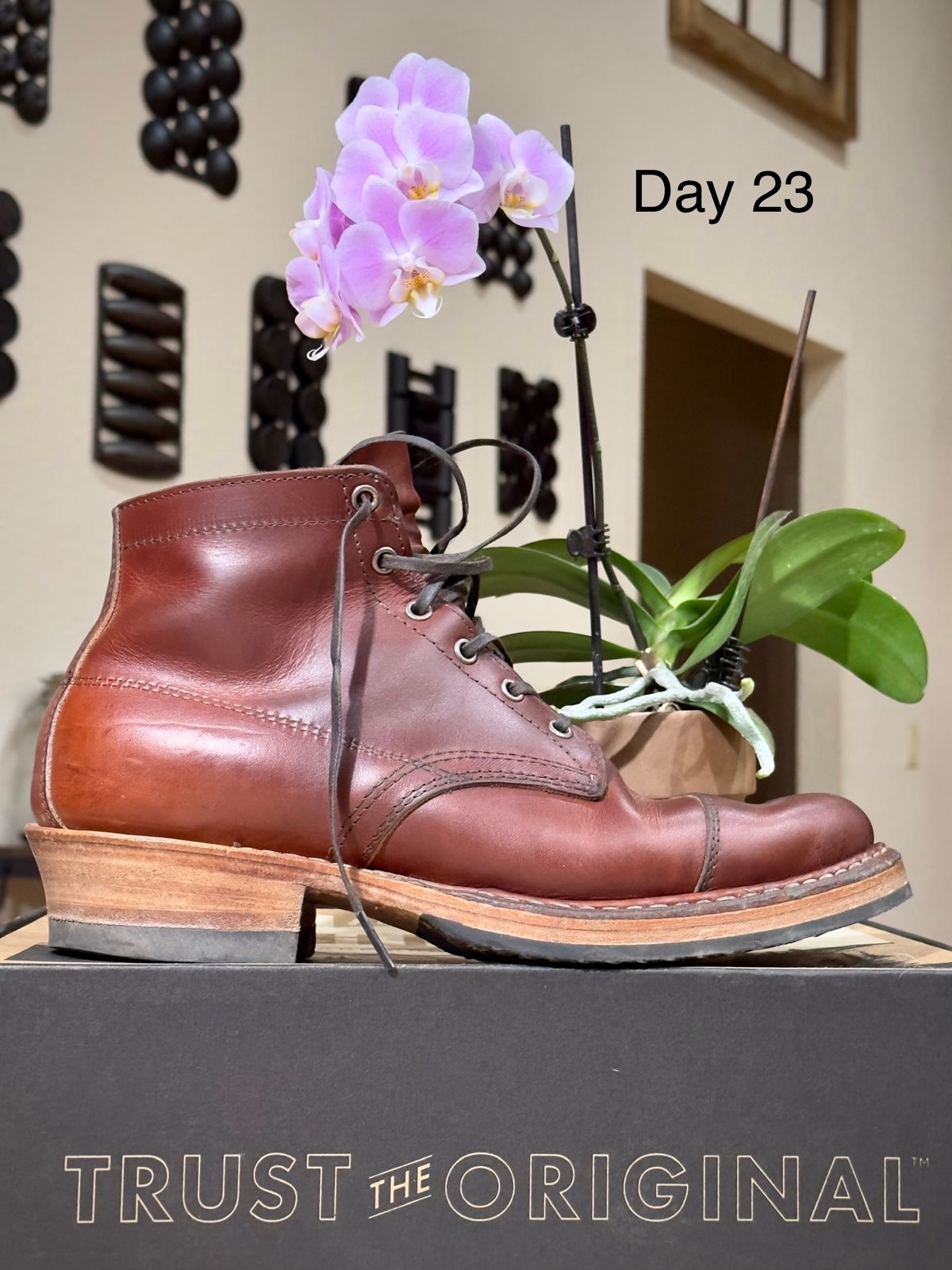 Photo by UglyJoe on October 29, 2023 of the White's Semi-Dress in Wickett & Craig Tan Oiled Latigo.
