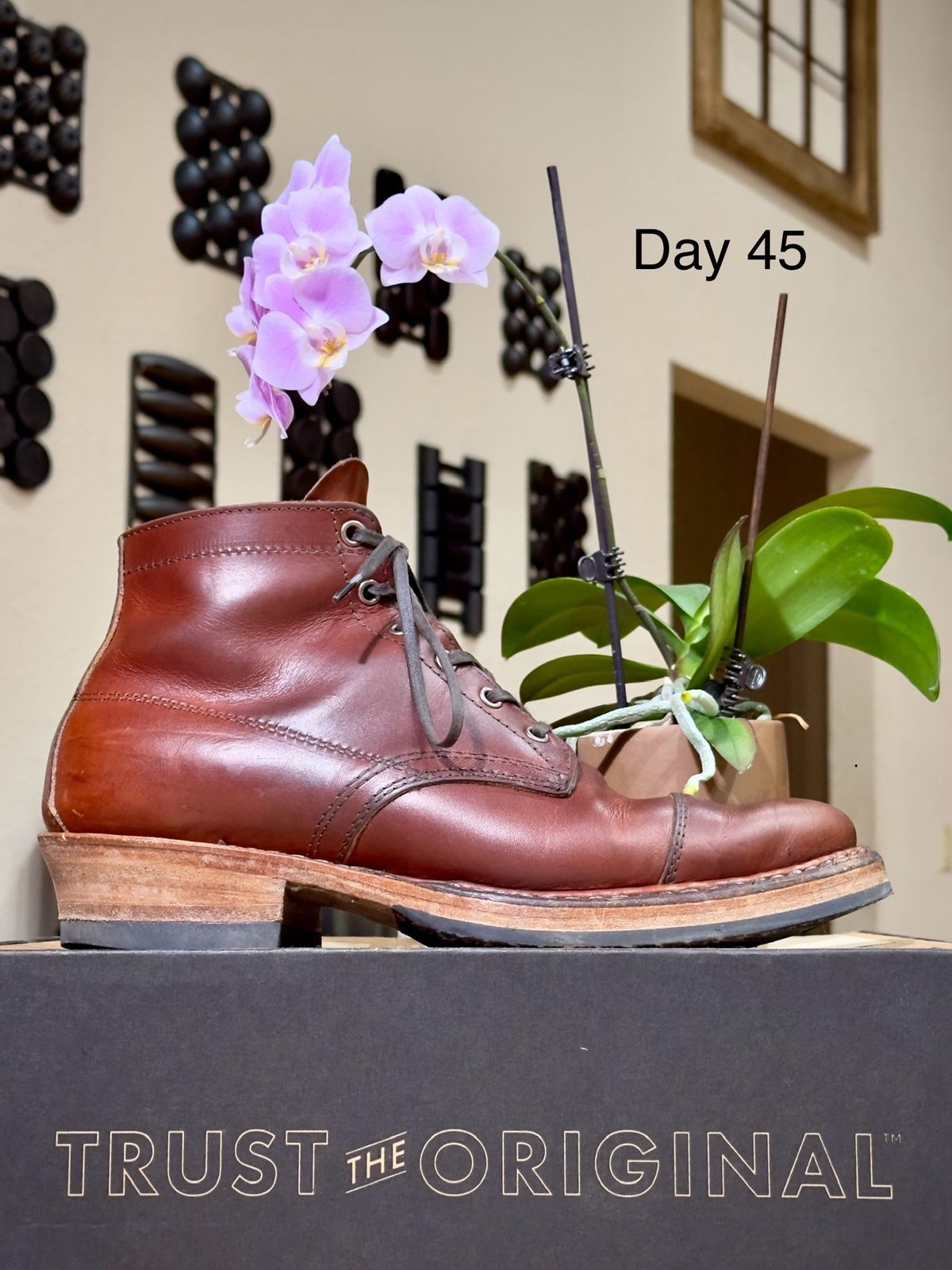 Photo by UglyJoe on November 30, 2023 of the White's Semi-Dress in Wickett & Craig Tan Oiled Latigo.