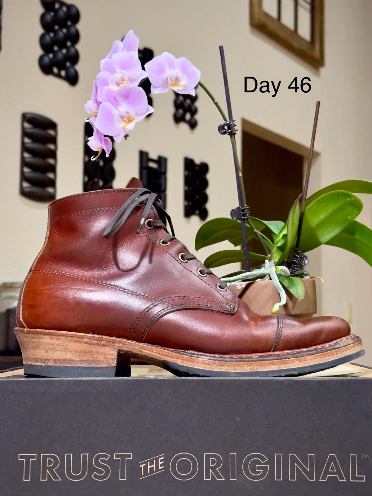 Photo by UglyJoe on December 2, 2023 of the White's Semi-Dress in Wickett & Craig Tan Oiled Latigo.