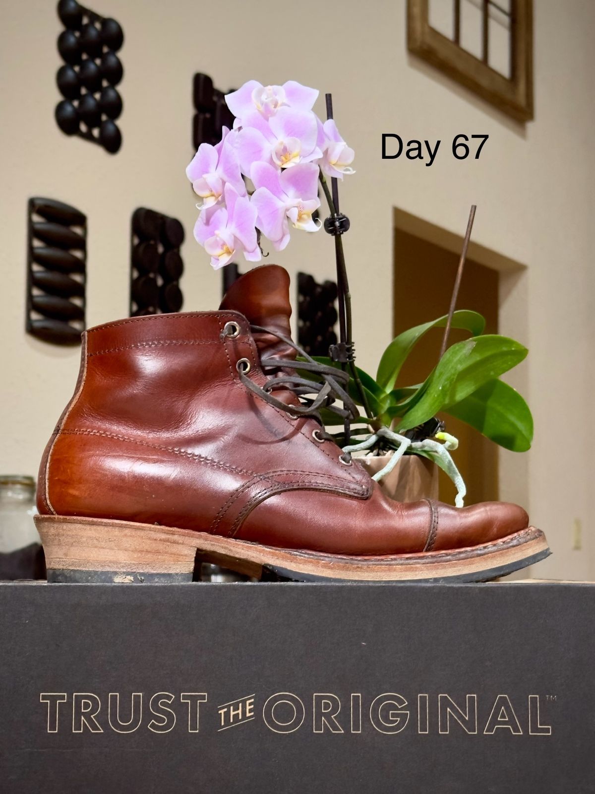 Photo by UglyJoe on January 7, 2024 of the White's Semi-Dress in Wickett & Craig Tan Oiled Latigo.