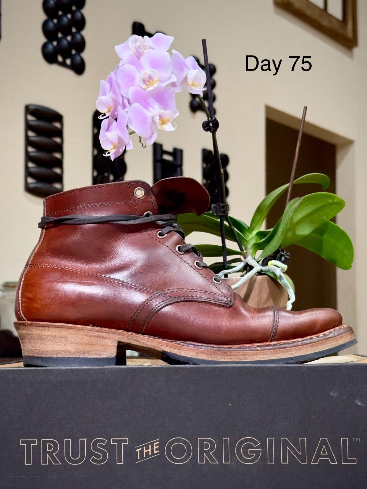 Photo by UglyJoe on January 17, 2024 of the White's Semi-Dress in Wickett & Craig Tan Oiled Latigo.