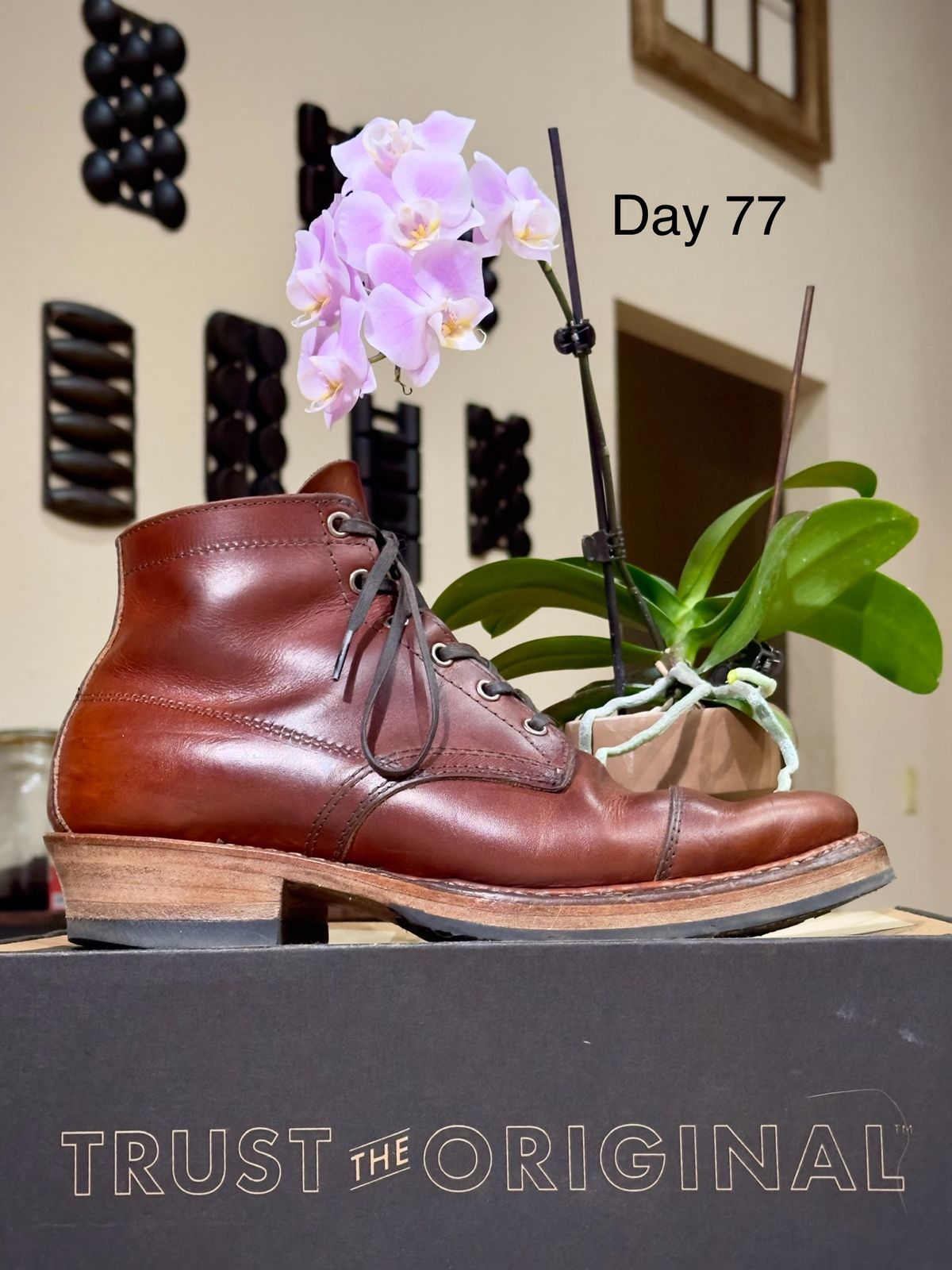 Photo by UglyJoe on January 19, 2024 of the White's Semi-Dress in Wickett & Craig Tan Oiled Latigo.