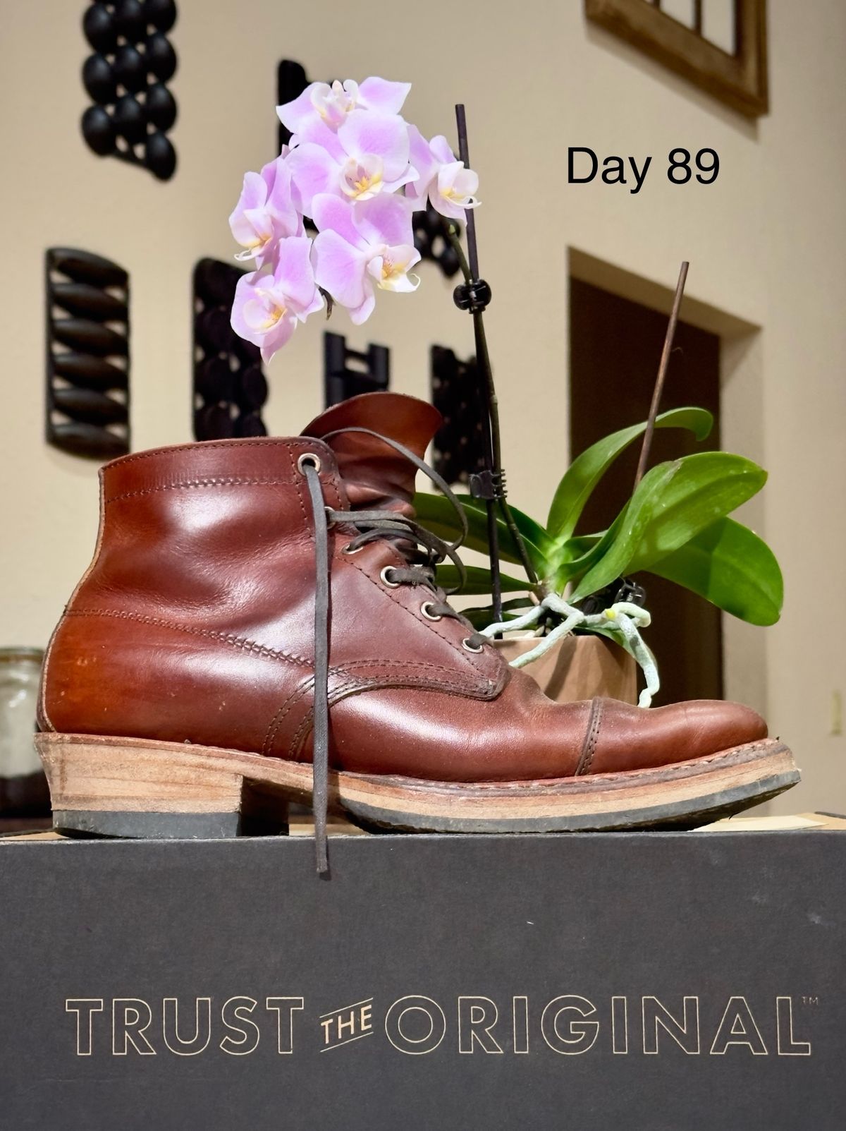 Photo by UglyJoe on February 7, 2024 of the White's Semi-Dress in Wickett & Craig Tan Oiled Latigo.