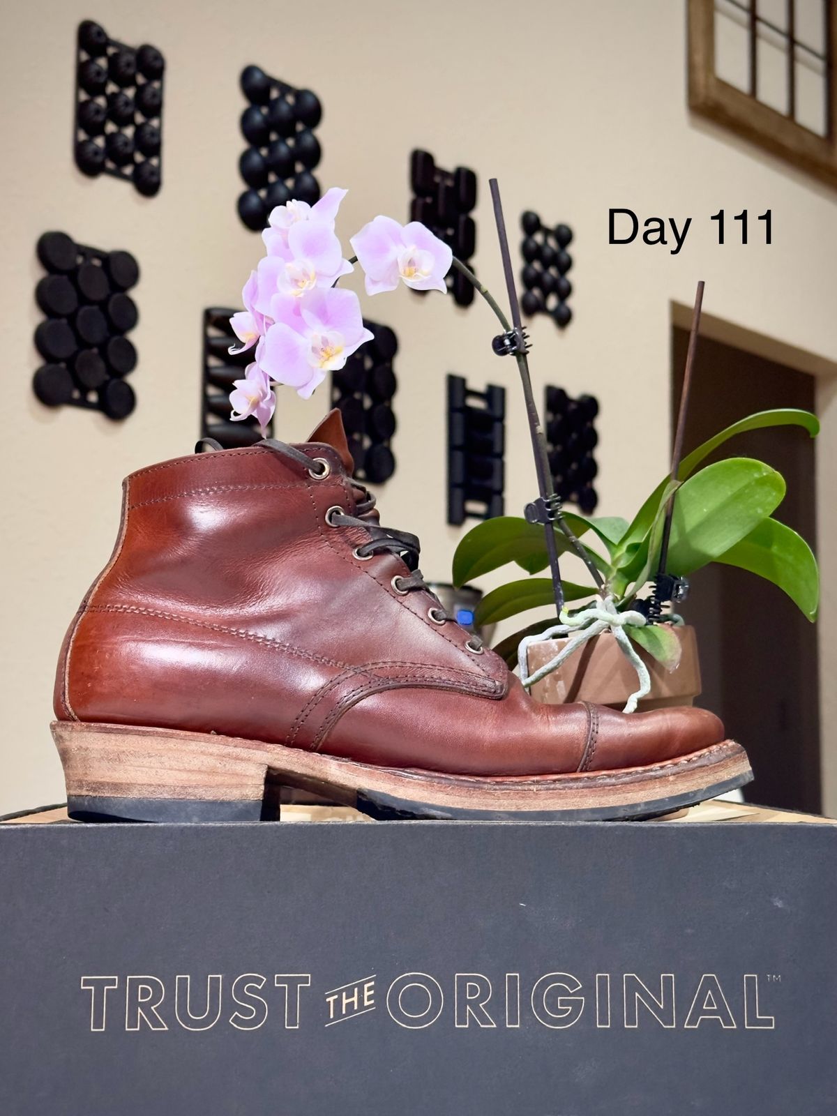 Photo by UglyJoe on March 8, 2024 of the White's Semi-Dress in Wickett & Craig Tan Oiled Latigo.
