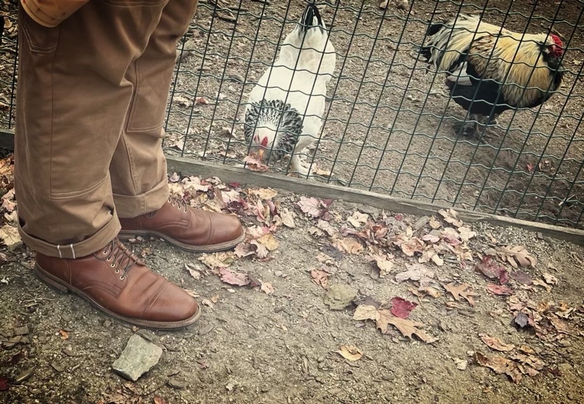 Photo by StrikeDeuce on November 5, 2023 of the Viberg Service Boot BCT in C.F. Stead Whisky Regency Calf.