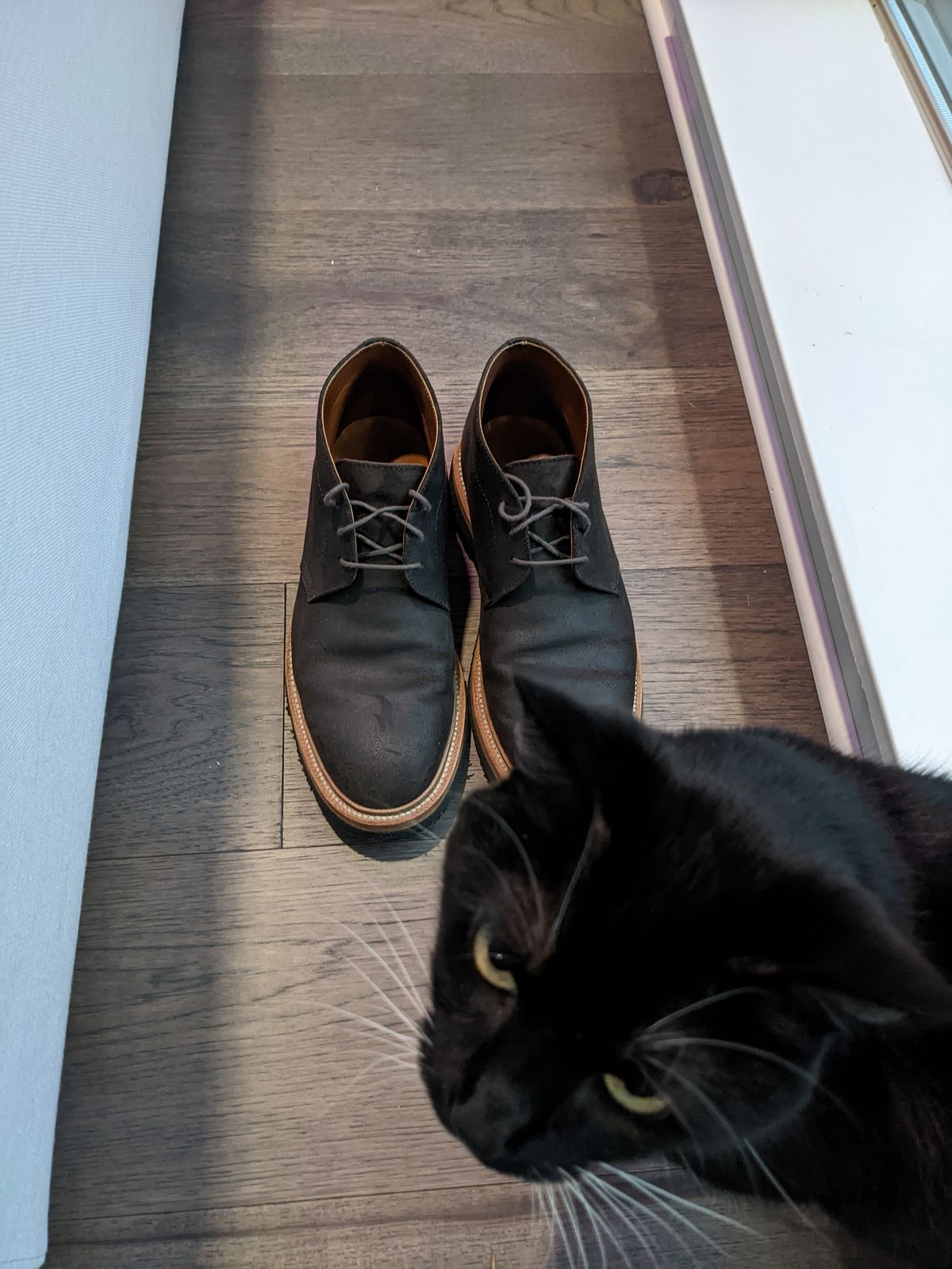 Photo by trickyspaniard on November 4, 2022 of the Grant Stone Chukka in C.F. Stead Earth Waxy Commander Suede.