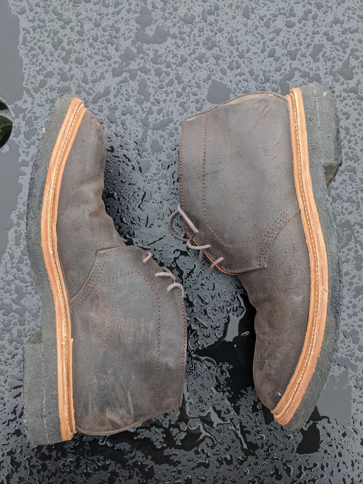 Photo by trickyspaniard on December 4, 2022 of the Grant Stone Chukka in C.F. Stead Earth Waxy Commander Suede.