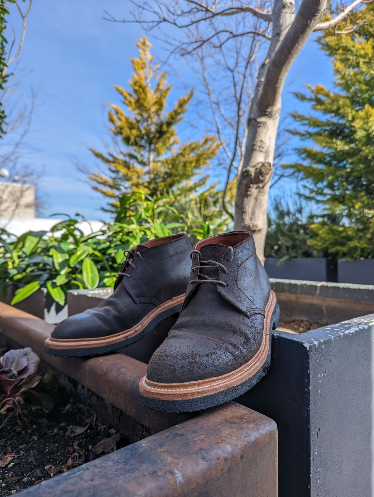 Photo by trickyspaniard on March 5, 2023 of the Grant Stone Chukka in C.F. Stead Earth Waxy Commander Suede.