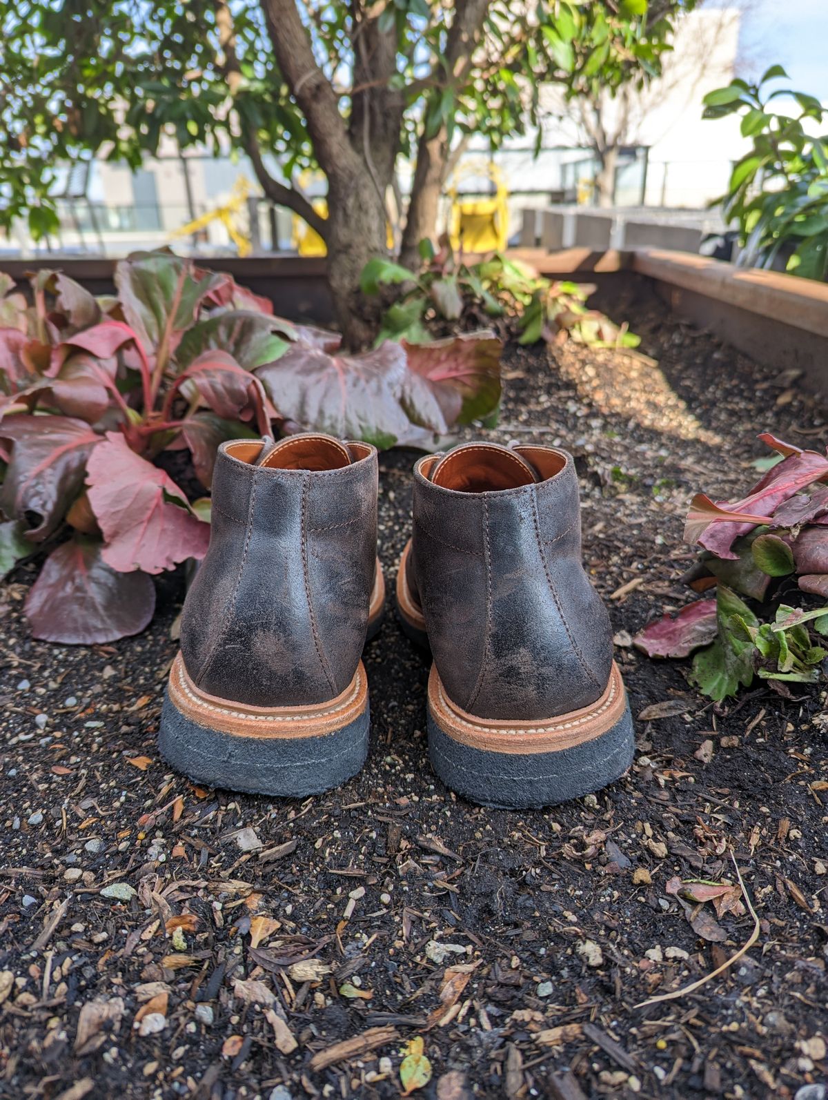 Photo by trickyspaniard on March 5, 2023 of the Grant Stone Chukka in C.F. Stead Earth Waxy Commander Suede.