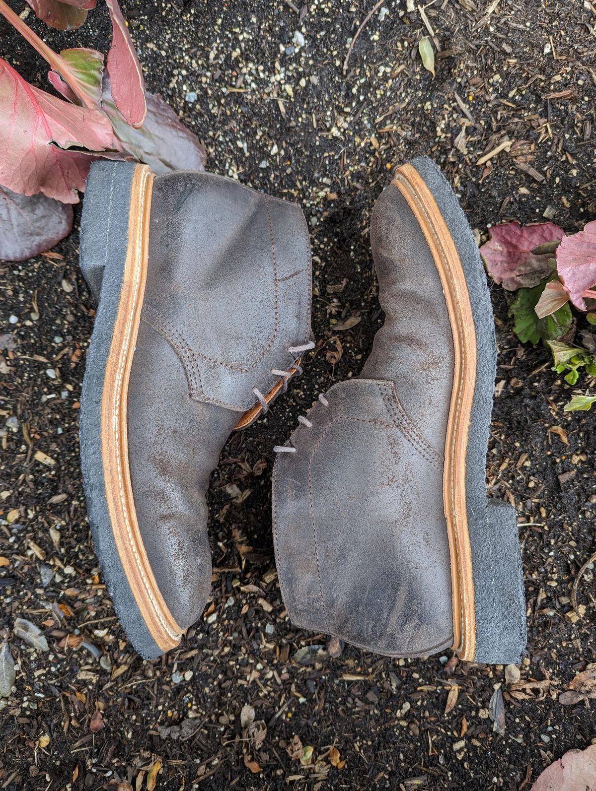 Photo by trickyspaniard on March 5, 2023 of the Grant Stone Chukka in C.F. Stead Earth Waxy Commander Suede.