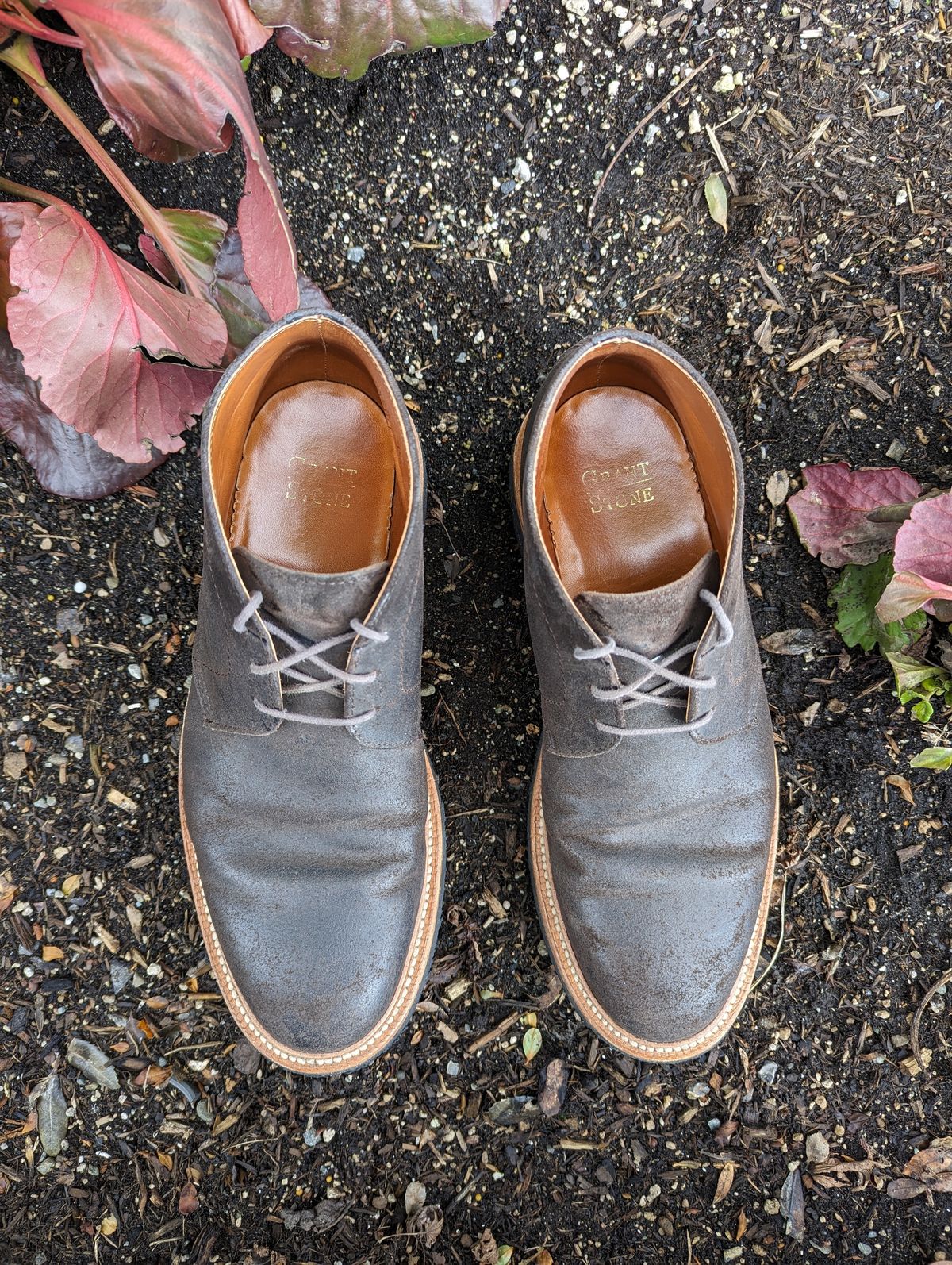 Photo by trickyspaniard on March 5, 2023 of the Grant Stone Chukka in C.F. Stead Earth Waxy Commander Suede.