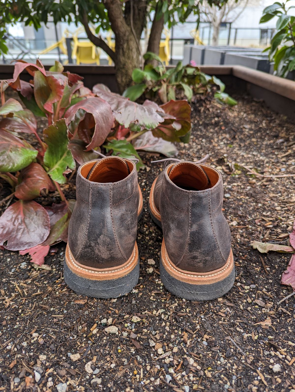 Photo by trickyspaniard on April 1, 2023 of the Grant Stone Chukka in C.F. Stead Earth Waxy Commander Suede.