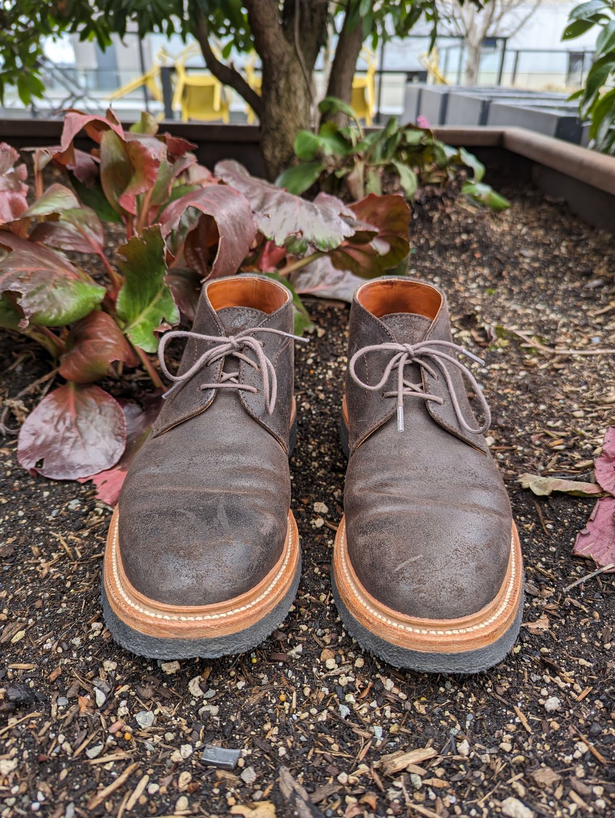 Photo by trickyspaniard on April 1, 2023 of the Grant Stone Chukka in C.F. Stead Earth Waxy Commander Suede.