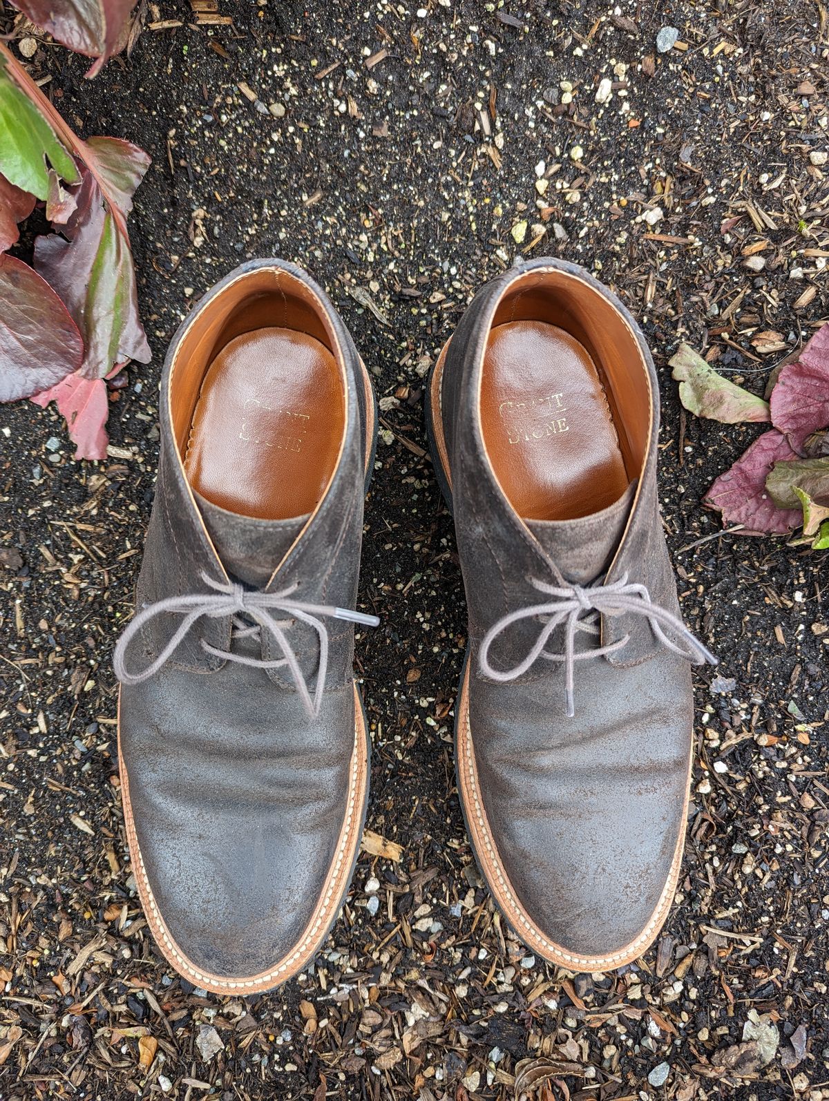 Photo by trickyspaniard on April 1, 2023 of the Grant Stone Chukka in C.F. Stead Earth Waxy Commander Suede.