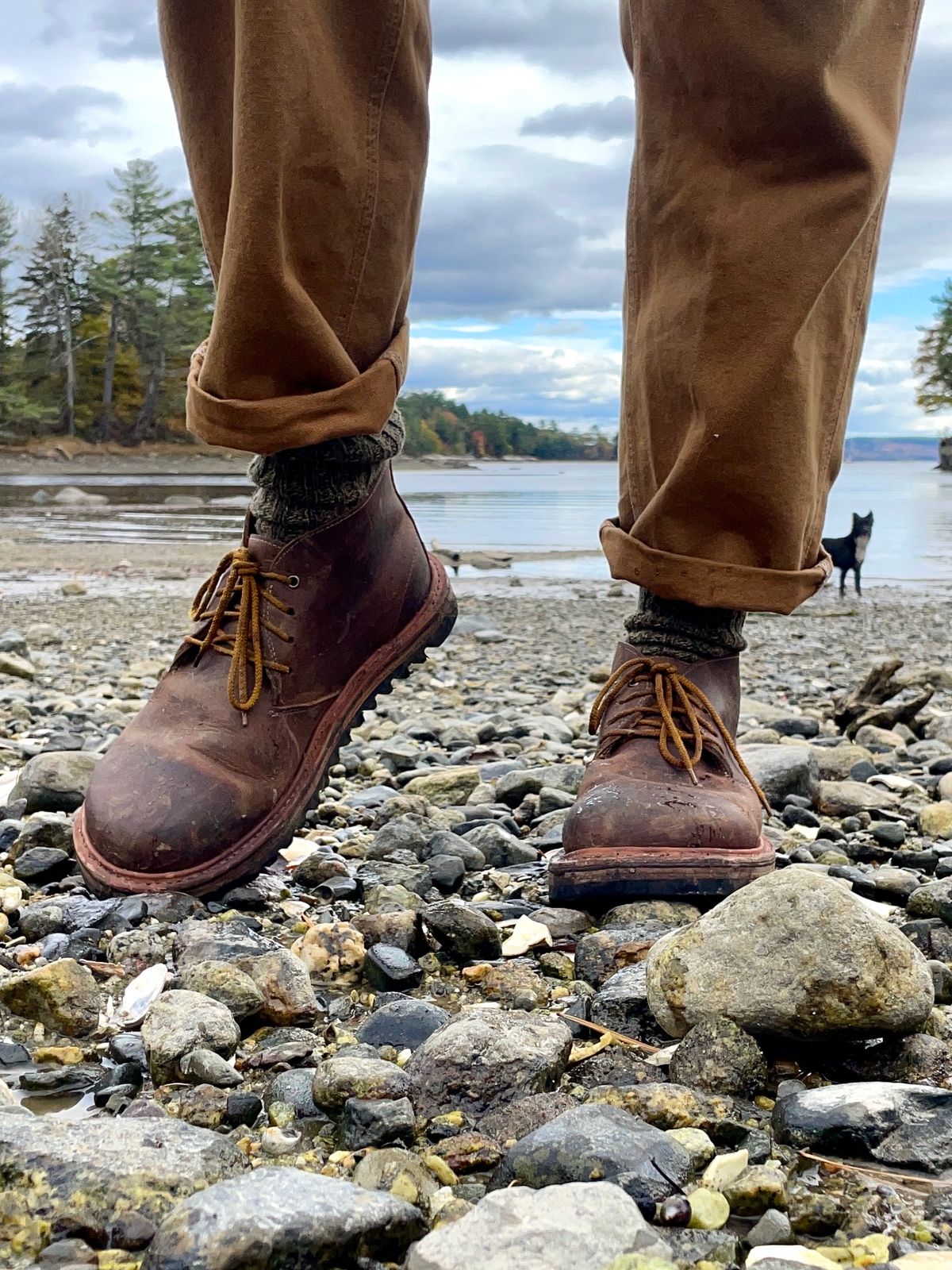 Photo by mainelyboots on October 23, 2023 of the Self-Made Chukka in S.B. Foot Saddle Voyager.