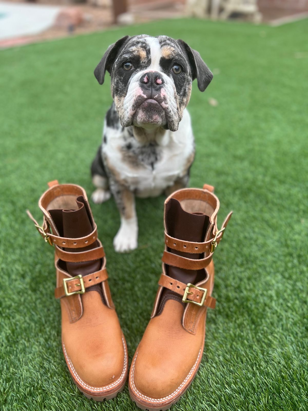 Photo by mackaroni on January 5, 2023 of the Nicks TankerPro in Horween Natural Dublin.