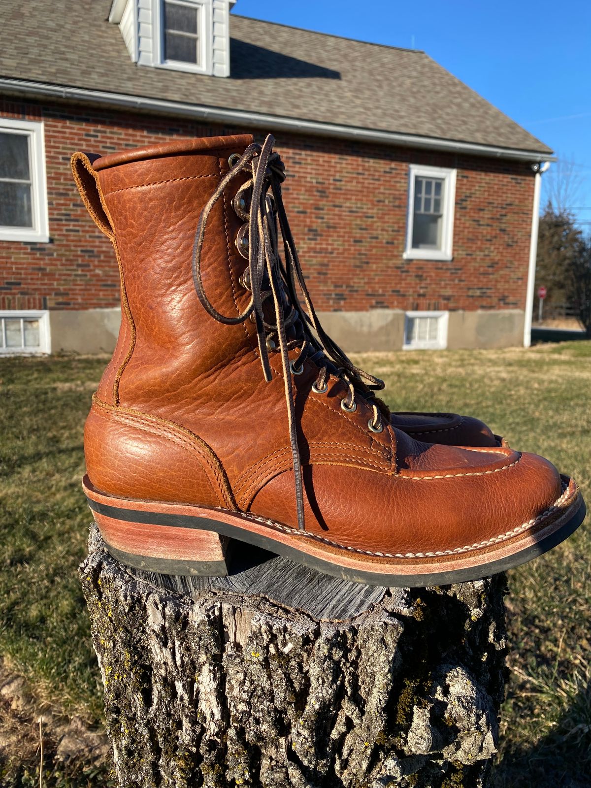 Photo by tgsnyder on February 4, 2023 of the Nicks Unlisted Model in Seidel Peanut Tuscon Bison.