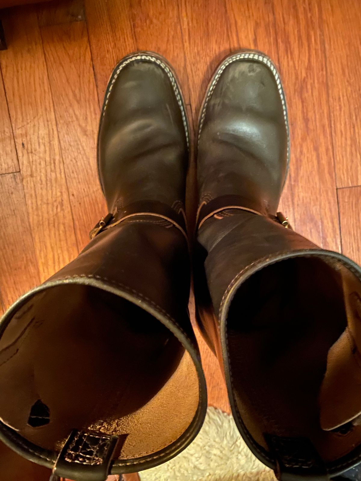 Photo by tgsnyder on December 2, 2022 of the Wesco Mister Lou in Horween Olive Chromexcel.