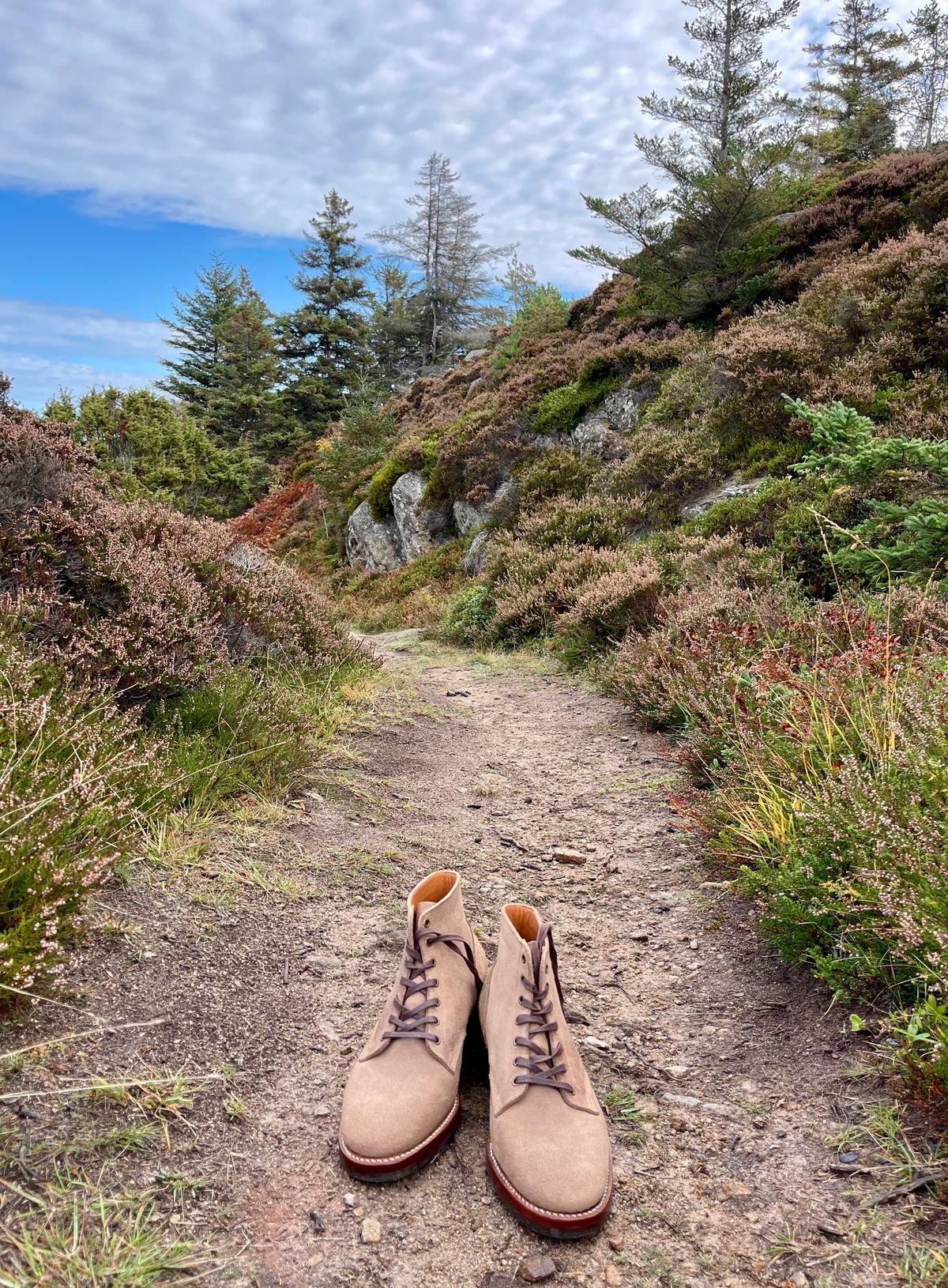 Photo by jcramby on October 3, 2022 of the Midas Service Boot in Horween Natural Chromexcel Roughout.