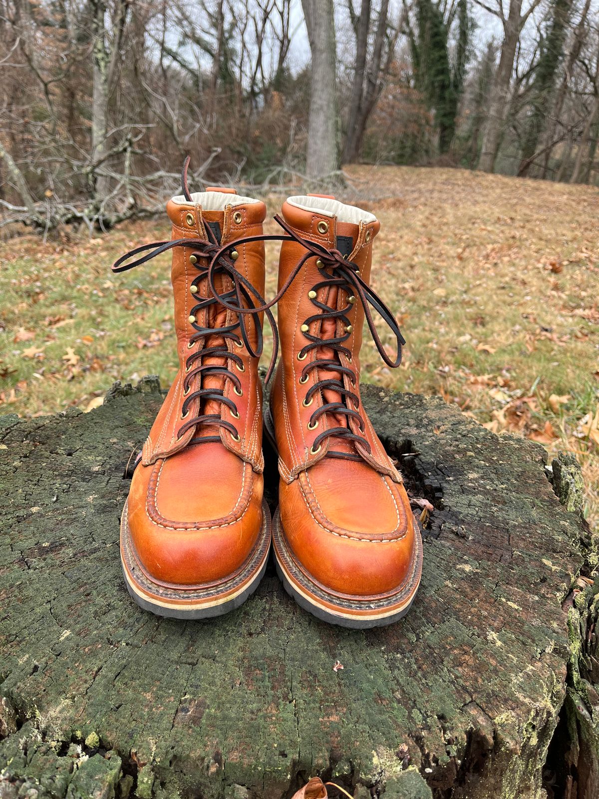 Photo by Skygoat on January 2, 2023 of the Thorogood 8" Moc Toe in Unknown Leather.