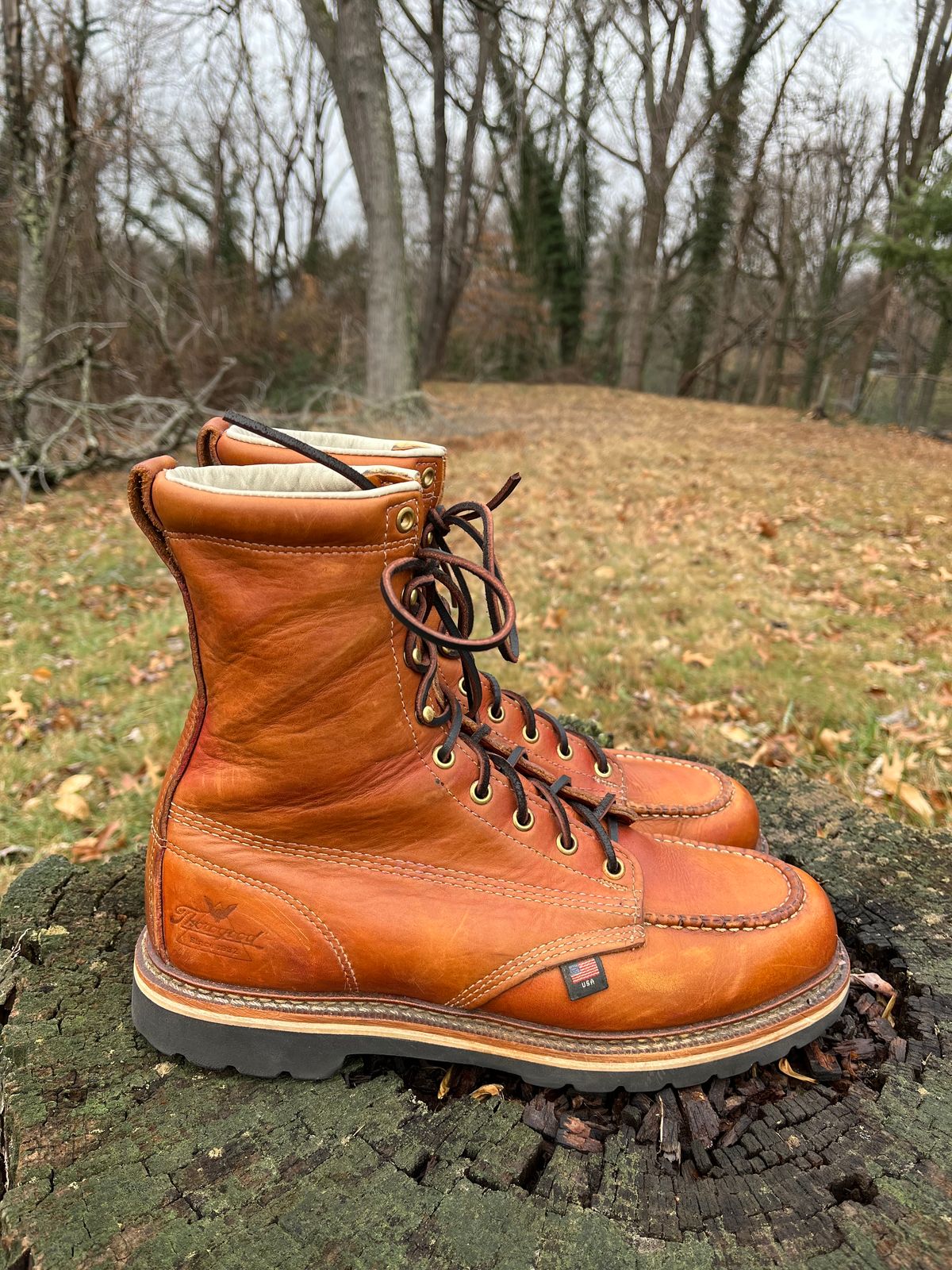 Photo by Skygoat on January 2, 2023 of the Thorogood 8" Moc Toe in Unknown Leather.