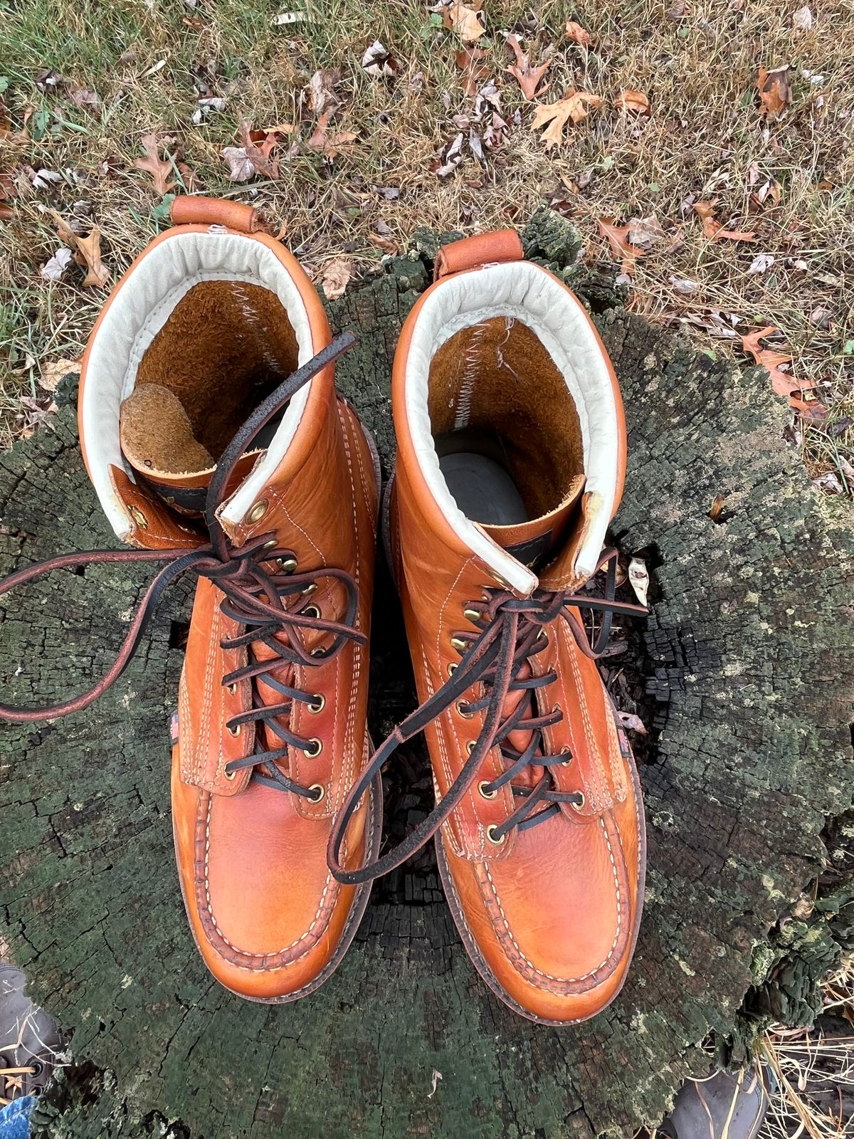 Photo by Skygoat on January 2, 2023 of the Thorogood 8" Moc Toe in Unknown Leather.