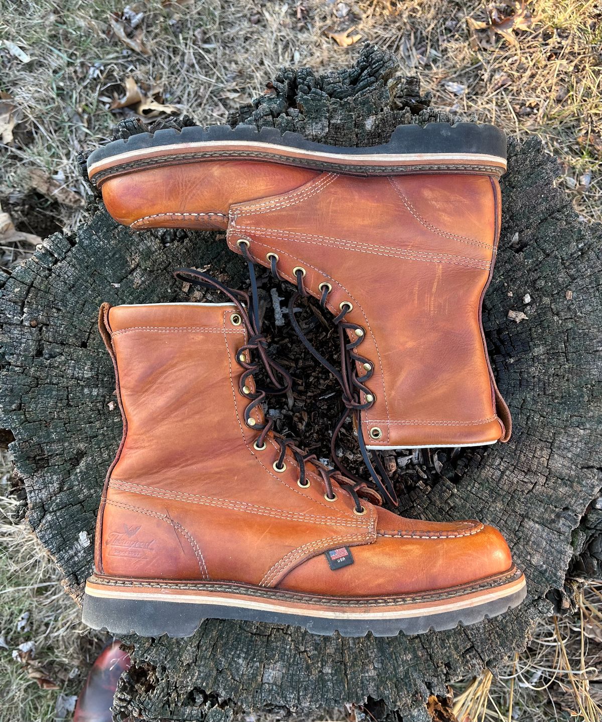 Photo by Skygoat on February 4, 2023 of the Thorogood 8" Moc Toe in Unknown Leather.