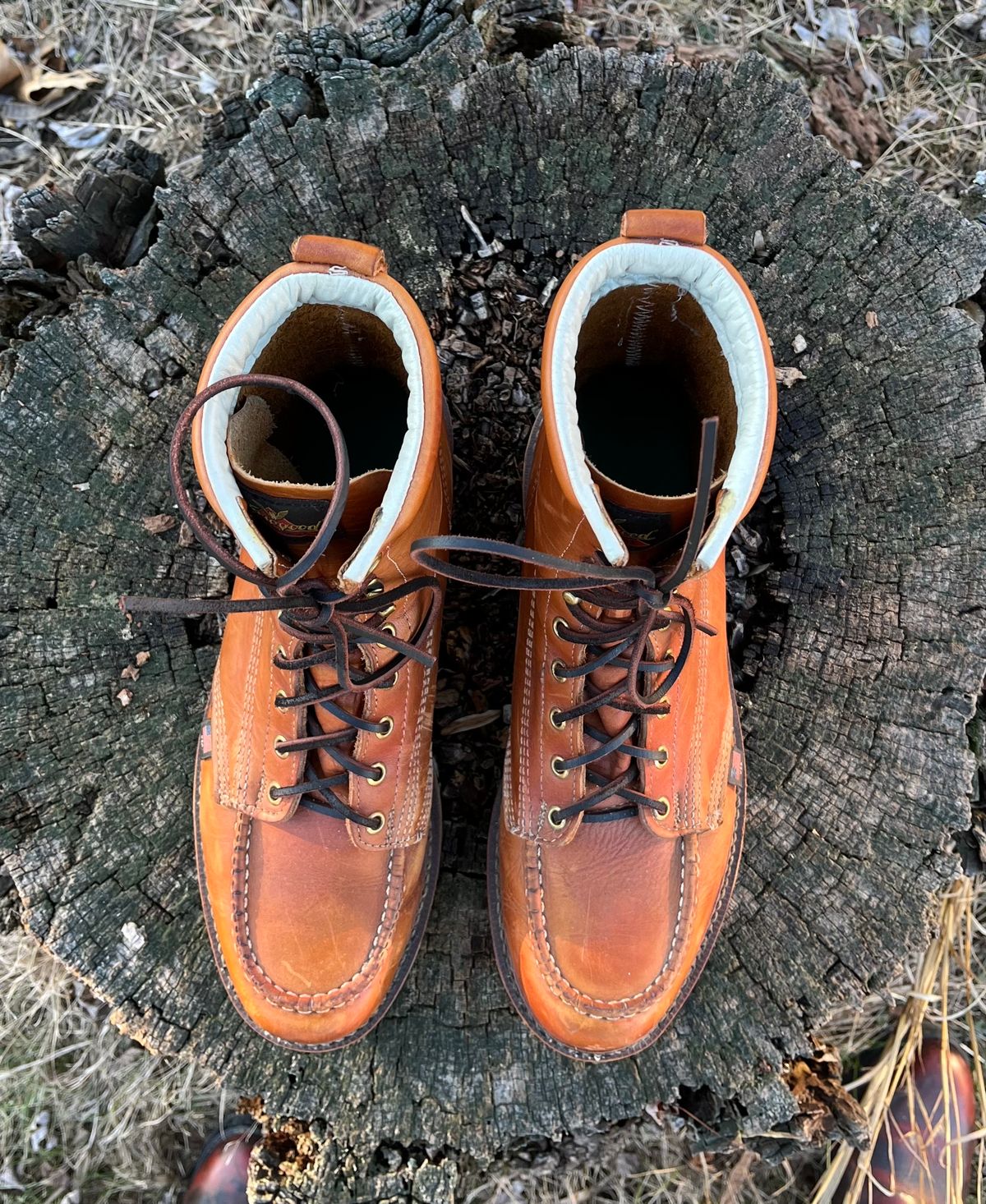Photo by Skygoat on February 4, 2023 of the Thorogood 8" Moc Toe in Unknown Leather.