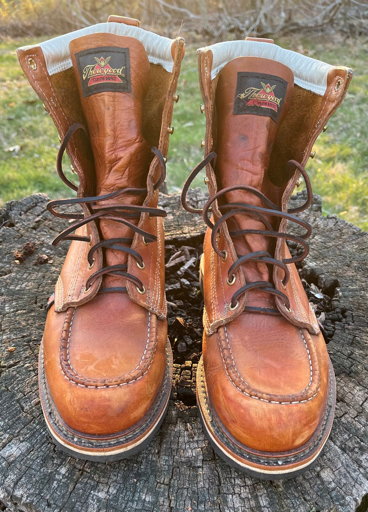 Photo by Skygoat on March 4, 2023 of the Thorogood 8" Moc Toe in Unknown Leather.