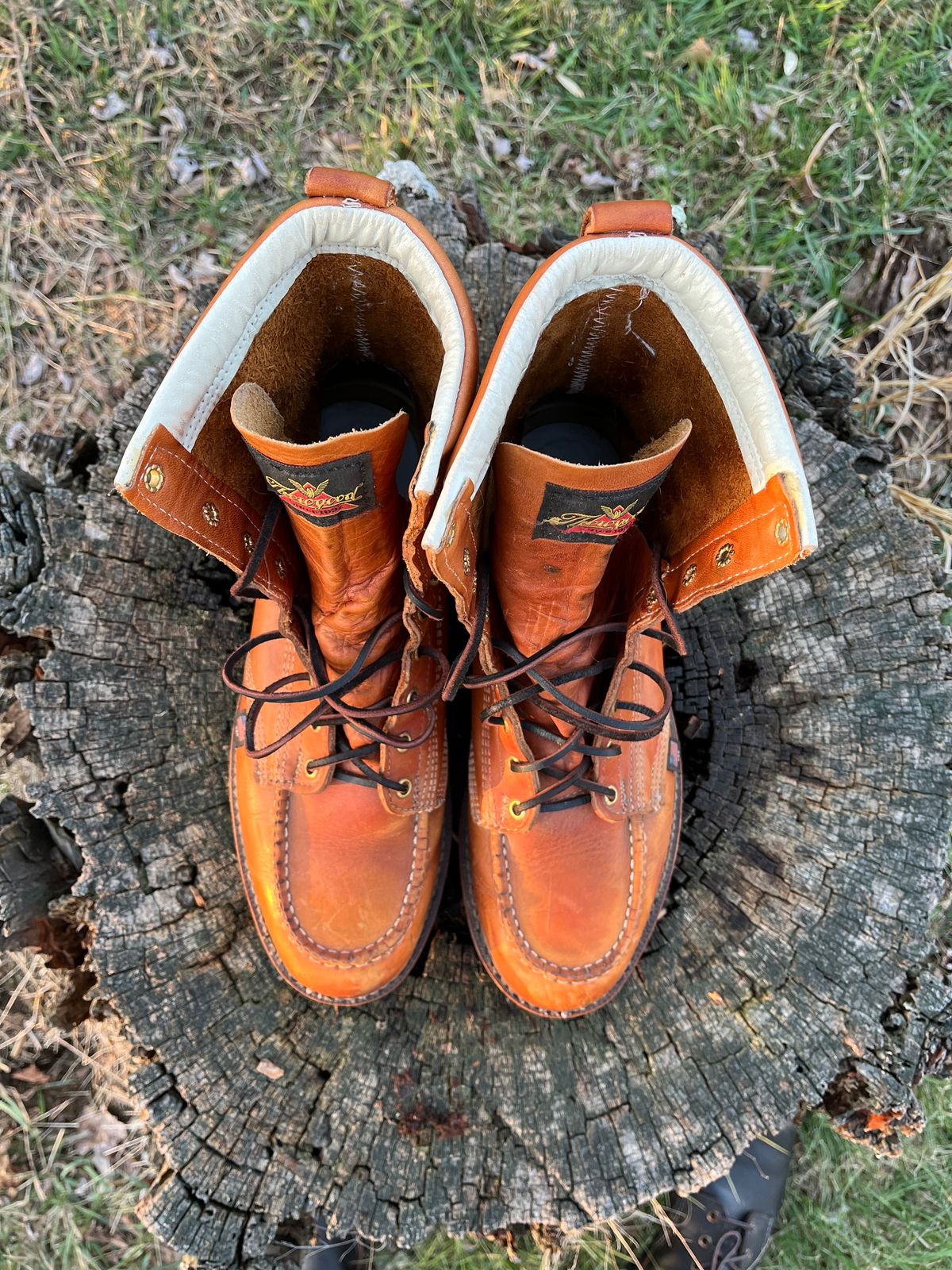 Photo by Skygoat on March 4, 2023 of the Thorogood 8" Moc Toe in Unknown Leather.