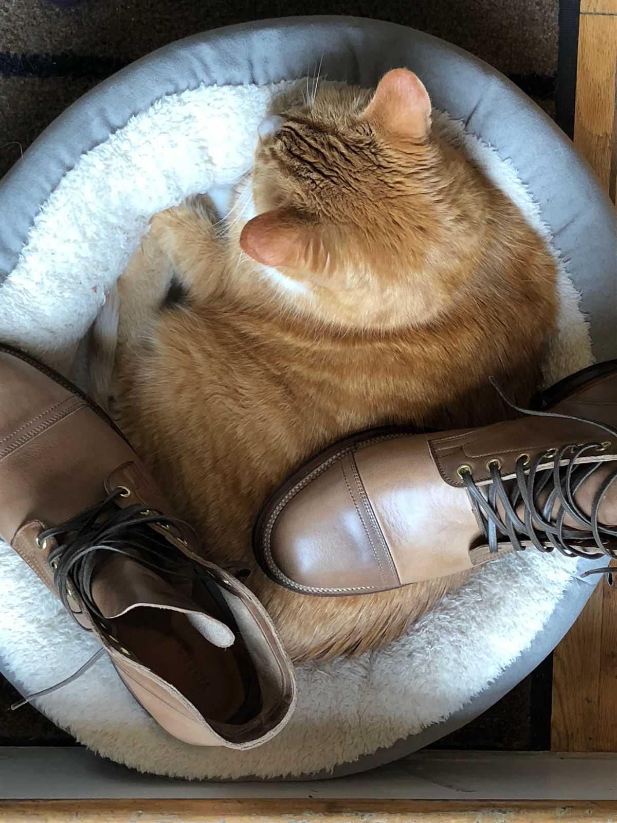 Photo by gnomon on October 5, 2022 of the Viberg Service Boot in Horween Natural Chromexcel.