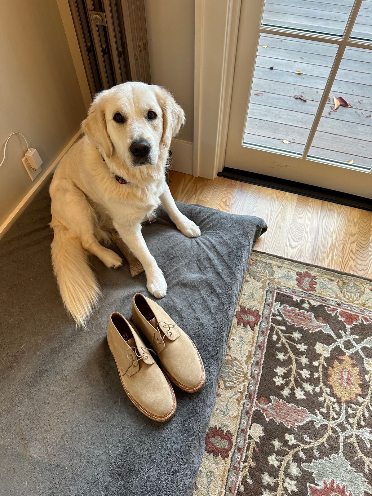 Photo by npaust on November 2, 2023 of the Grant Stone Chukka in C.F. Stead Tan Repello Calf Suede.