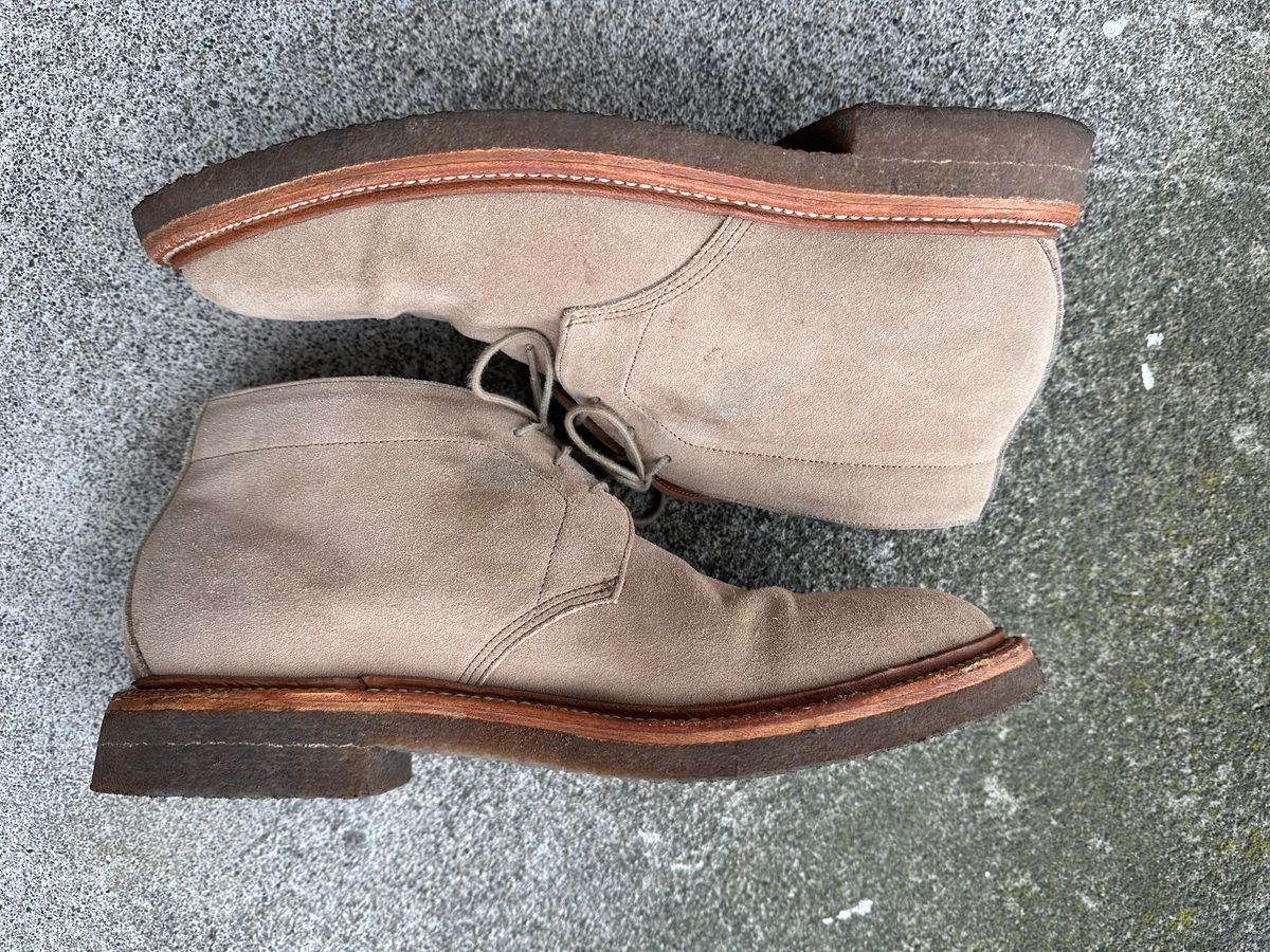 Photo by npaust on March 3, 2024 of the Grant Stone Chukka in C.F. Stead Tan Repello Calf Suede.
