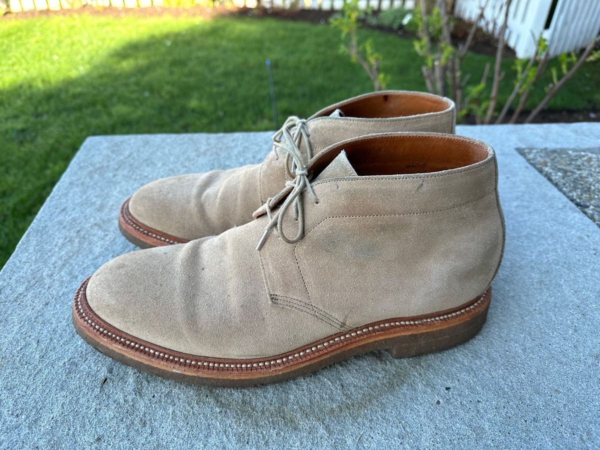 Photo by npaust on April 5, 2024 of the Grant Stone Chukka in C.F. Stead Tan Repello Calf Suede.