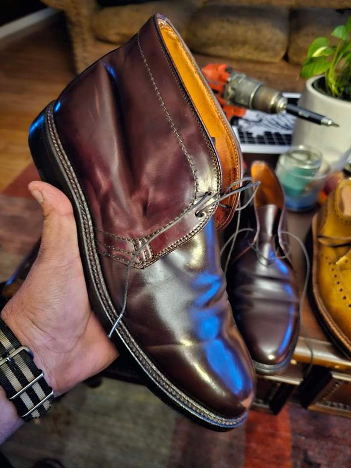 Photo by nobnix on September 24, 2024 of the Alden 2-Eyelet Chukka in Horween Color 8 Shell Cordovan.