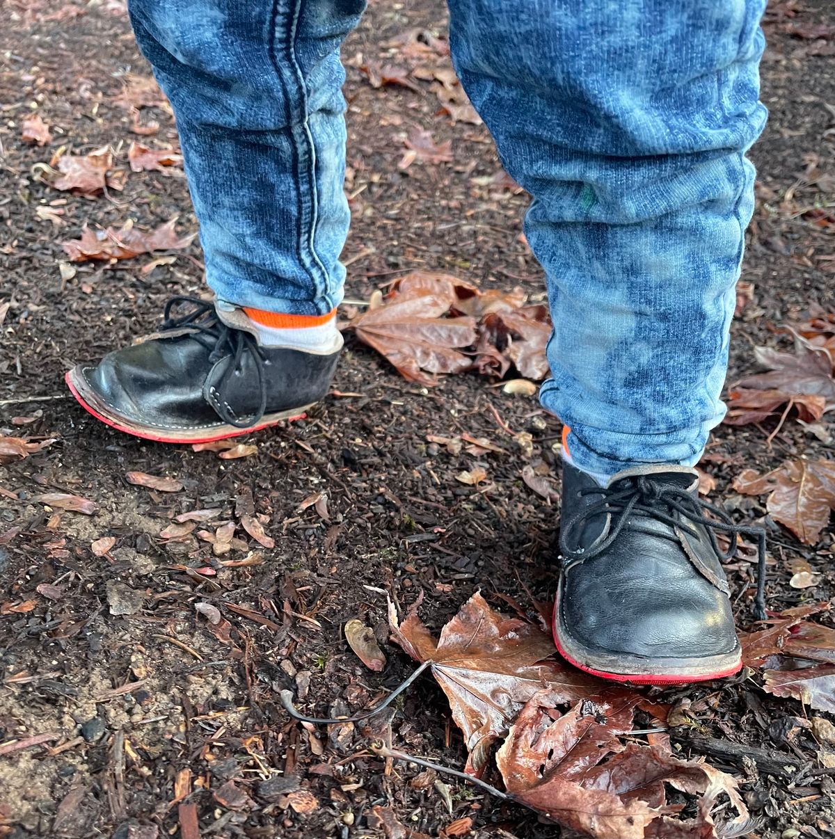 Photo by FrankLeeFineLeathers on December 9, 2023 of the Dad Chukka in Maryam Black Horsebutt.
