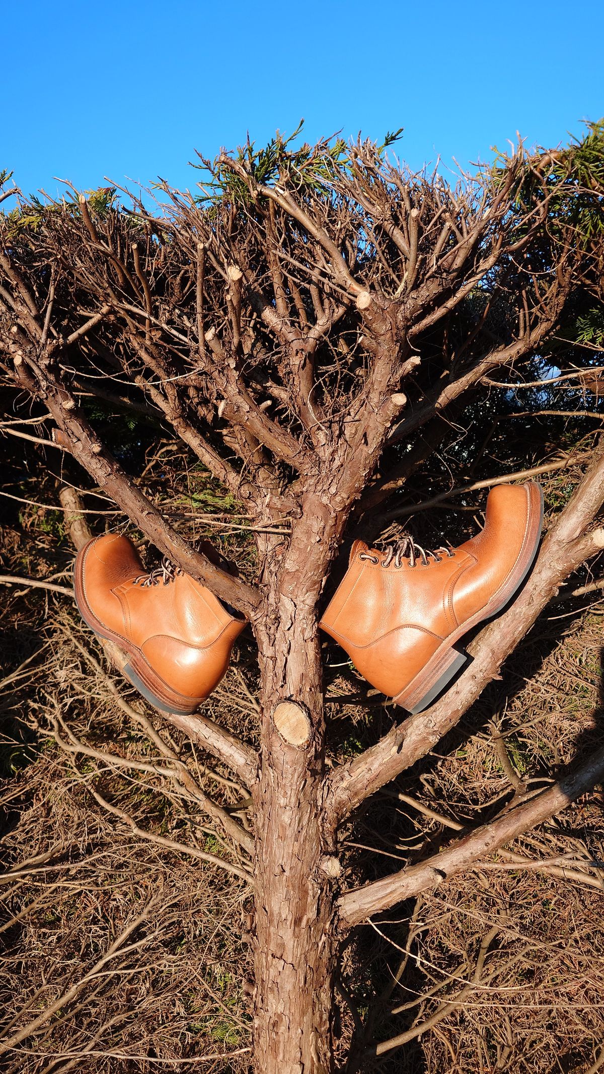 Photo by sowakichi on February 2, 2025 of the Viberg Service Boot in Horween Natural Wooly Chromexcel.