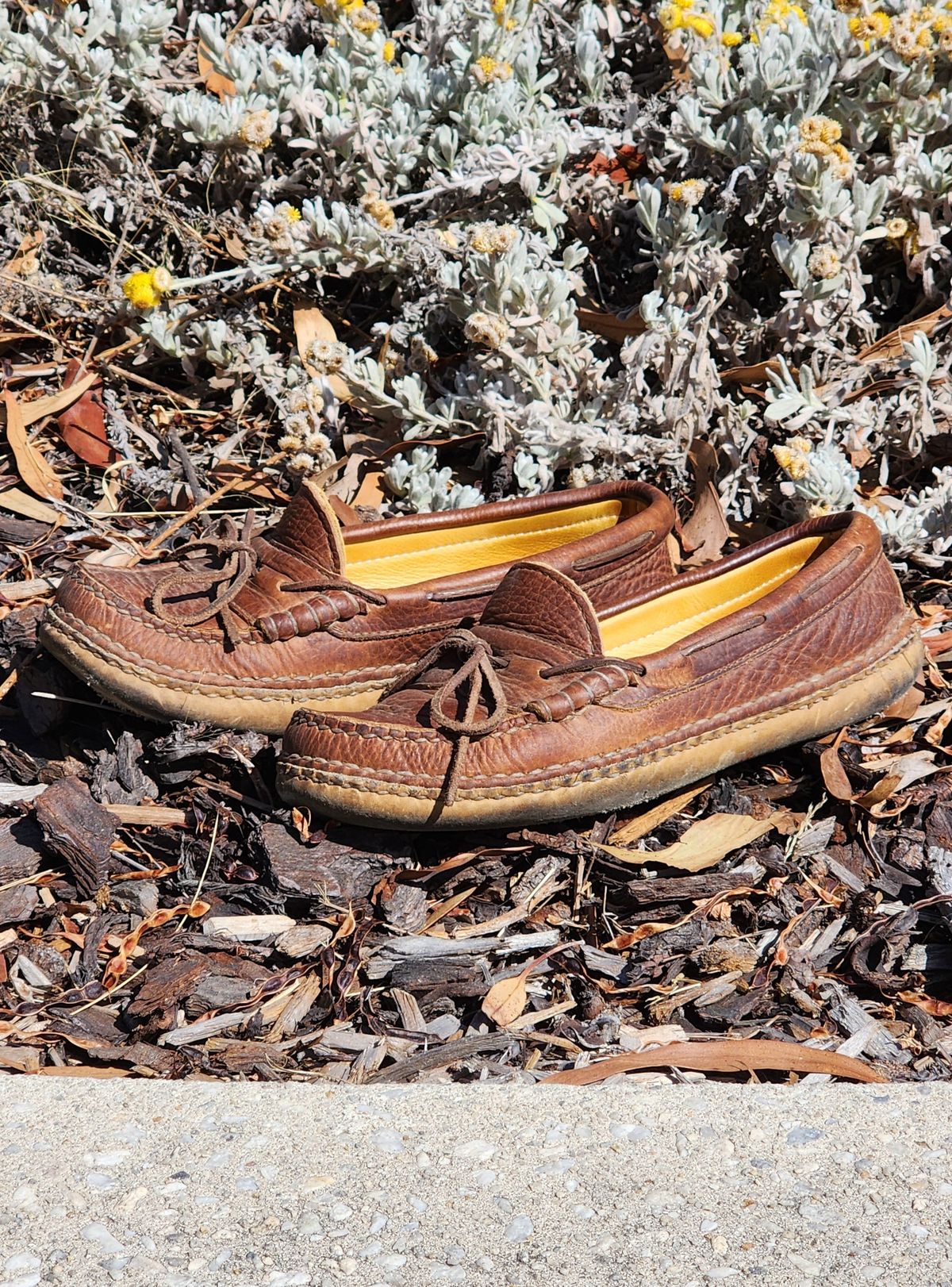 Photo by Worn.Soles on March 5, 2024 of the Quoddy Grizzly Moc in Grizzly Peanut.