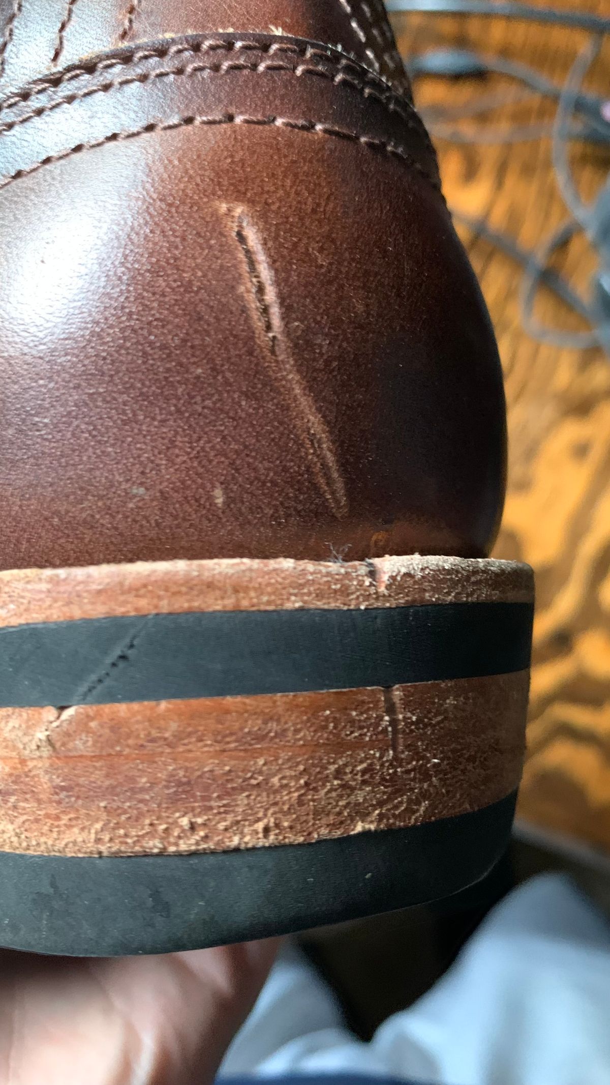 Photo by X on September 23, 2024 of the Nicks MTO in Italian Brown Cypress.