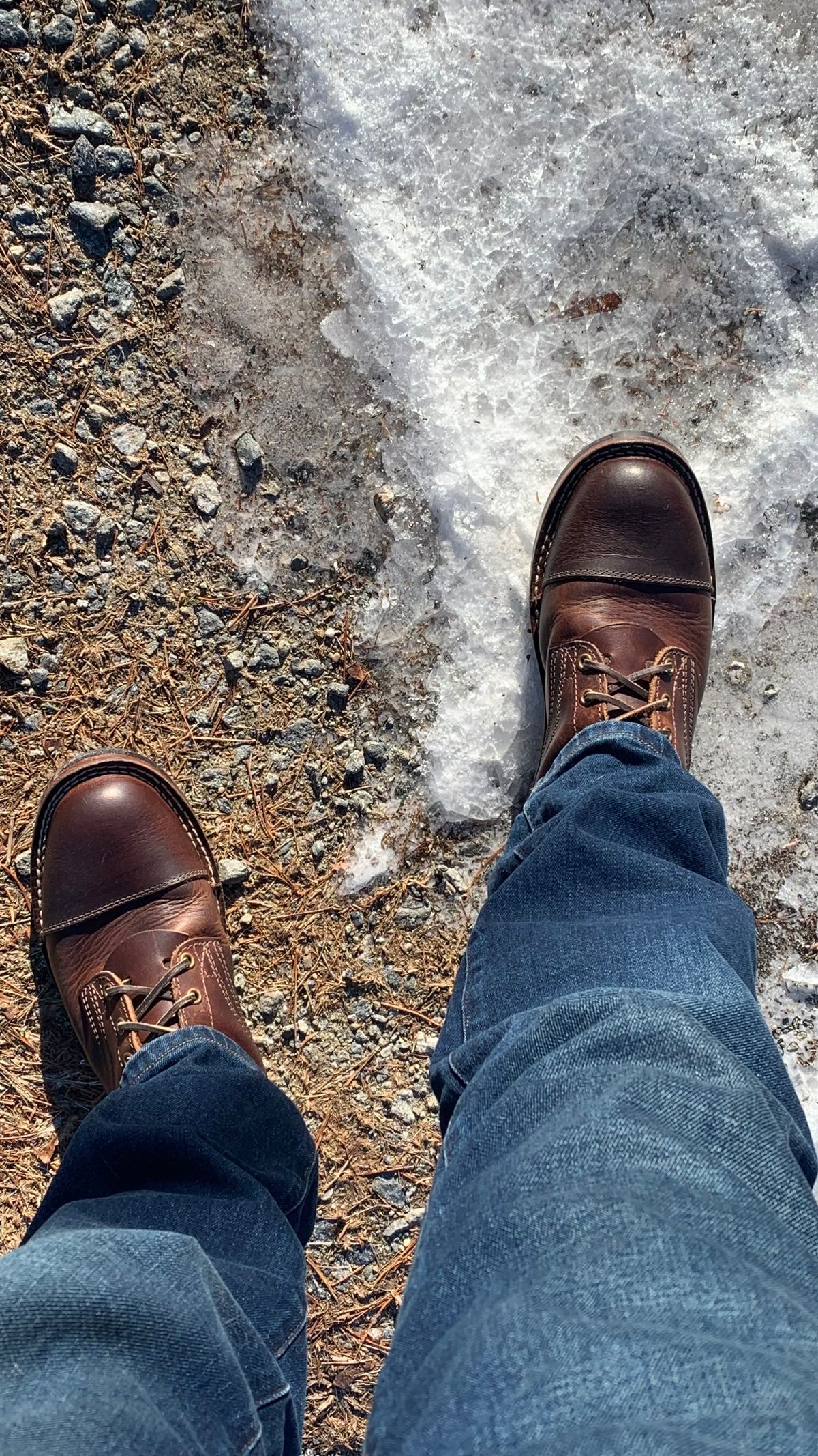 Photo by X on December 14, 2024 of the Nicks MTO in Italian Brown Cypress.