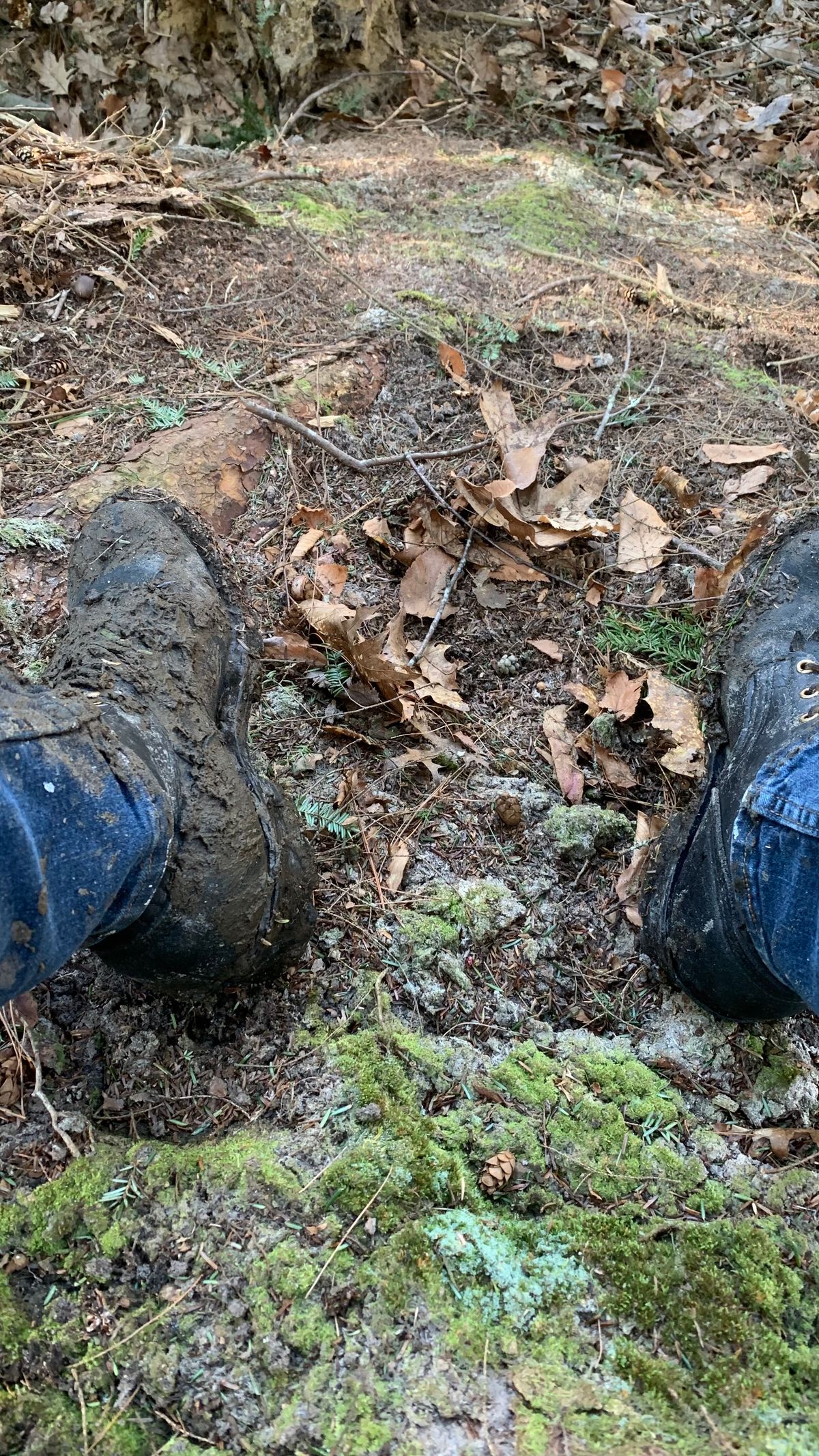 Photo by X on April 25, 2024 of the Nicks BuilderPro in Seidel MaxSupport Black.