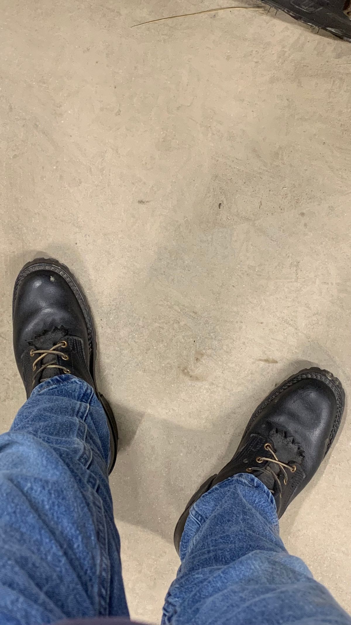 Photo by X on March 8, 2025 of the Nicks BuilderPro in Seidel MaxSupport Black.