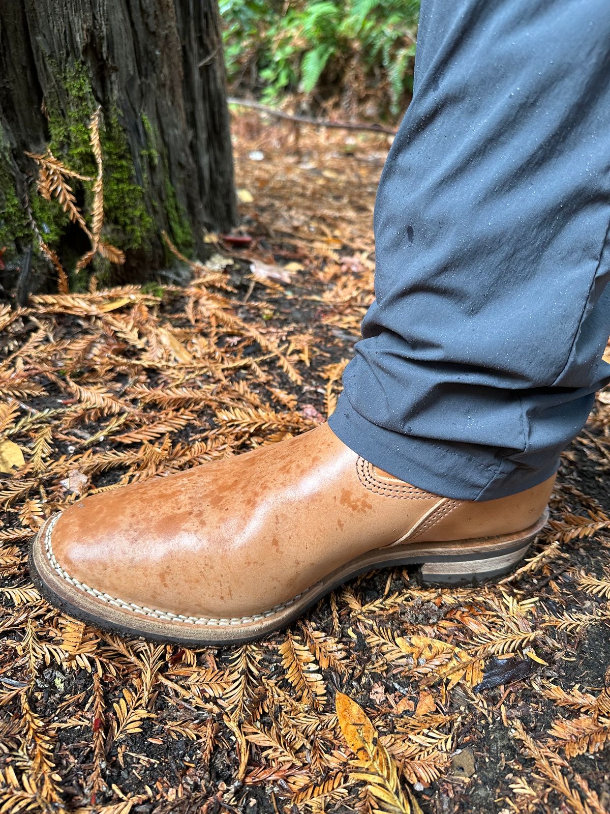 Photo by gv7 on November 2, 2023 of the Wesco x S&S Van Cleef III in Maryam Natural Horsebutt.